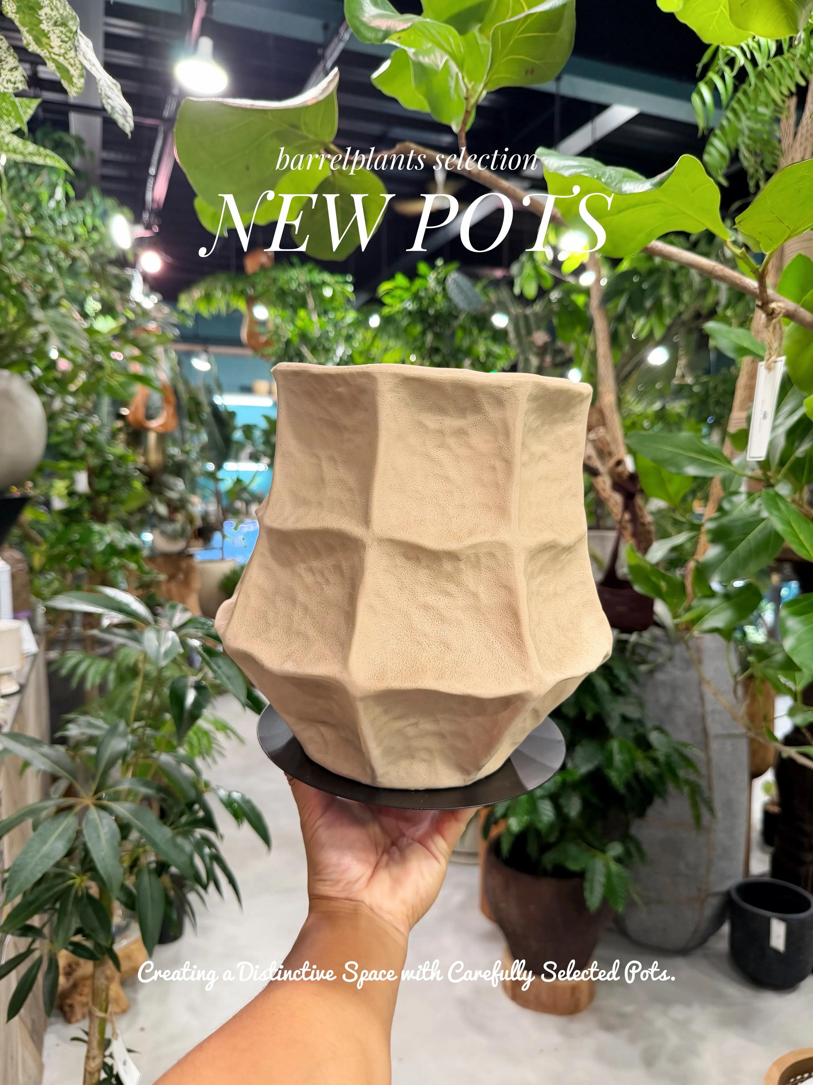 植物を選ぶように、鉢を選ぶ。