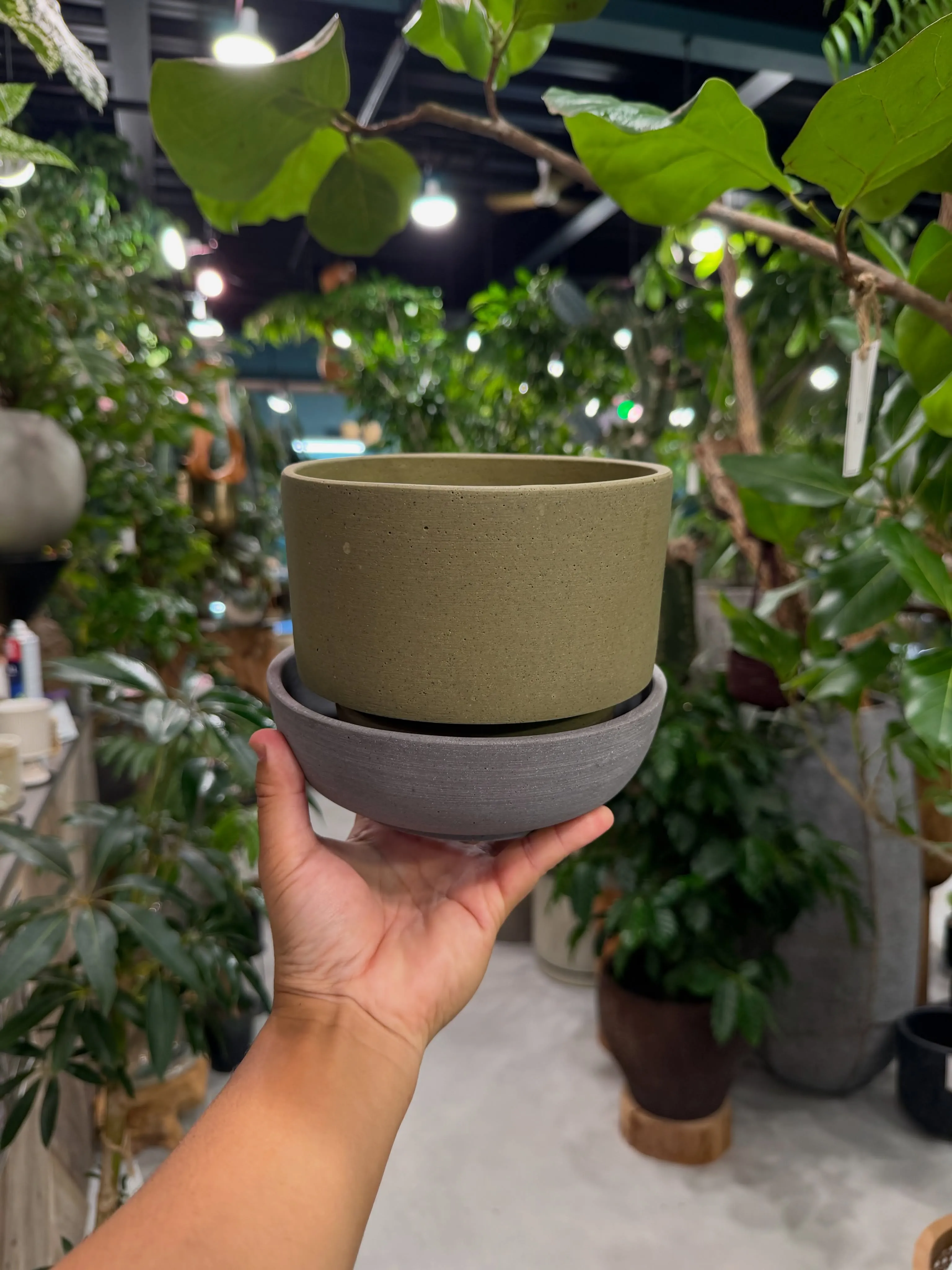 植物を選ぶように、鉢を選ぶ。