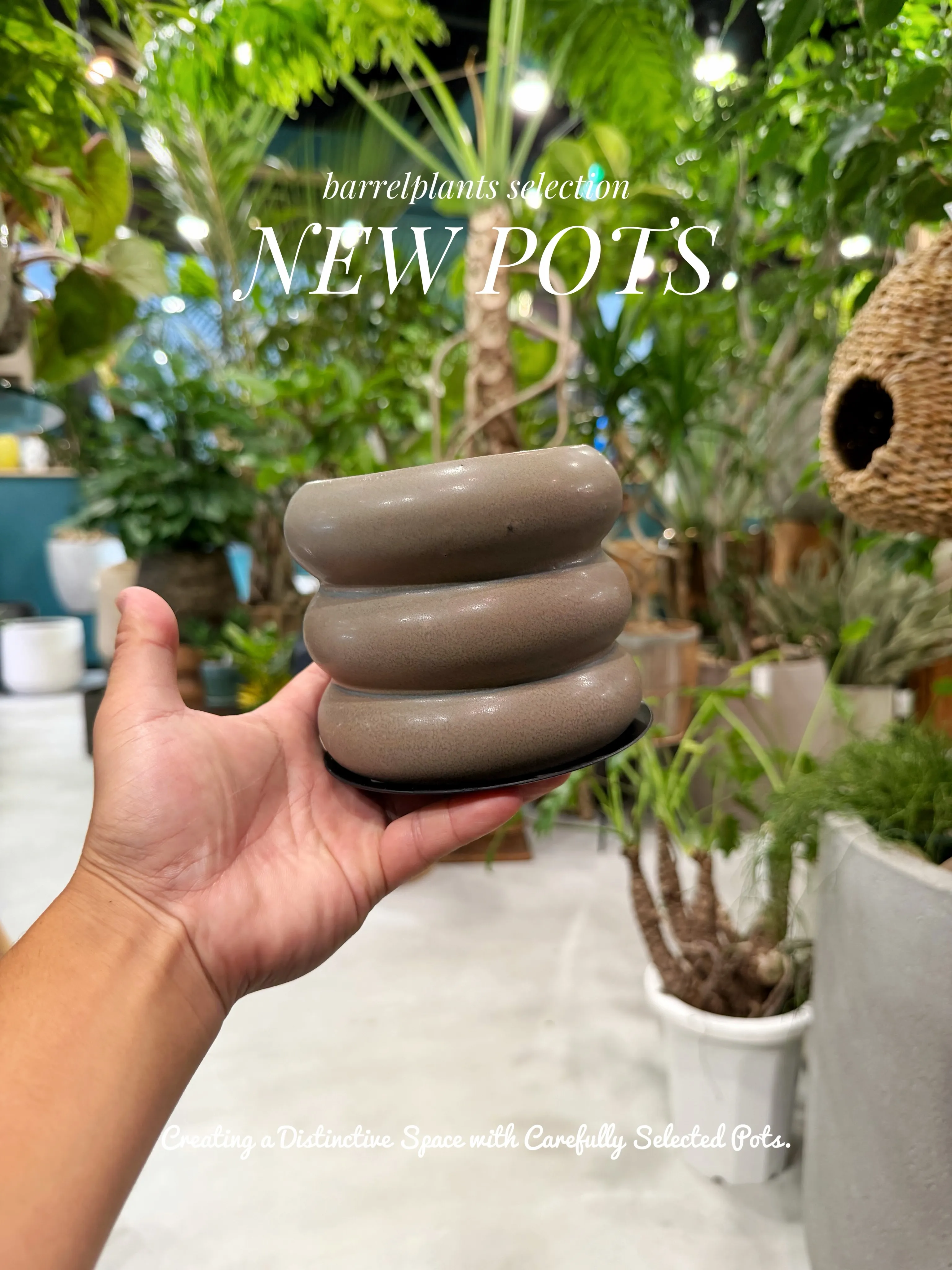 植物を選ぶように、鉢を選ぶ。