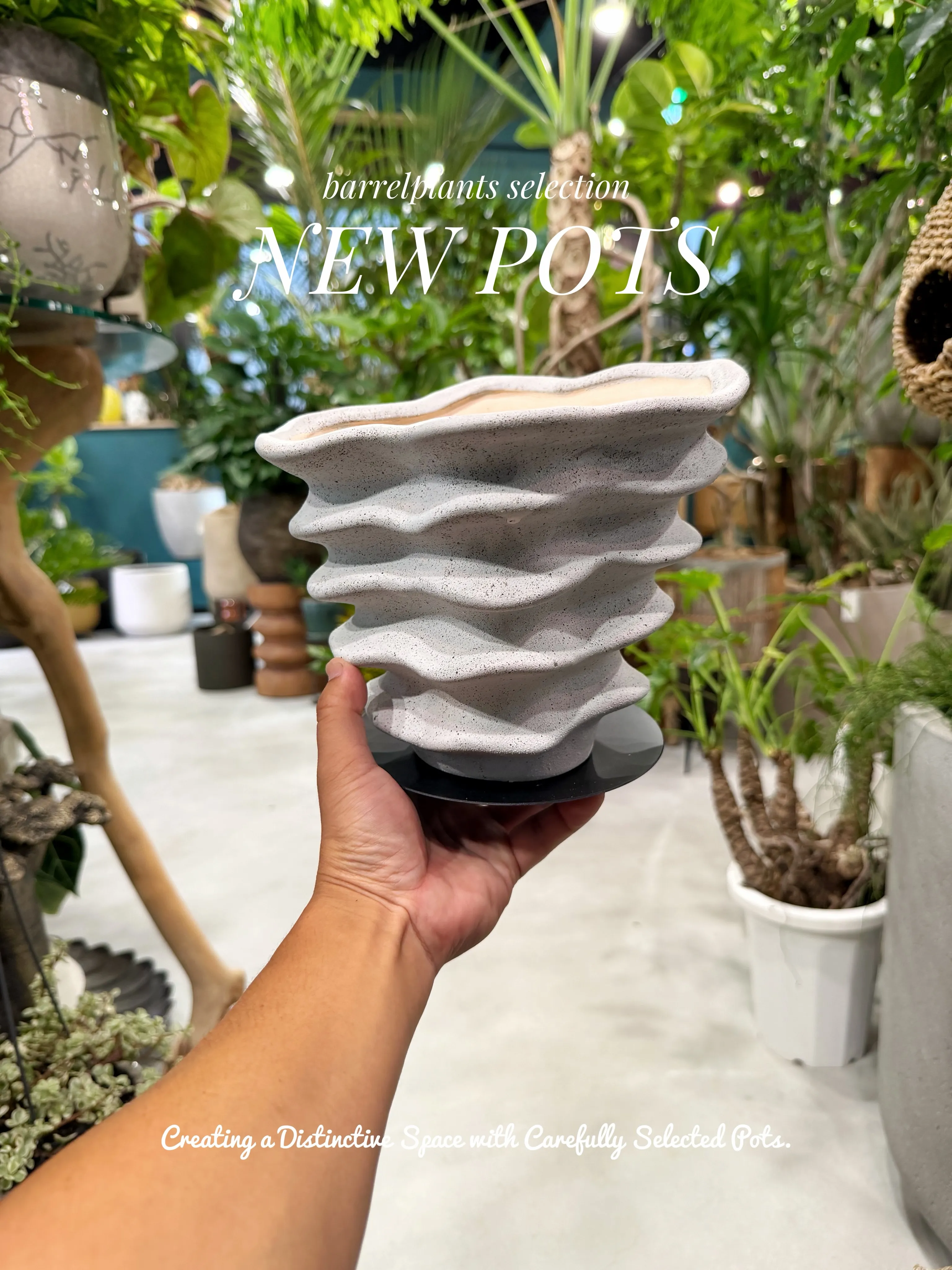 植物を選ぶように、鉢を選ぶ。
