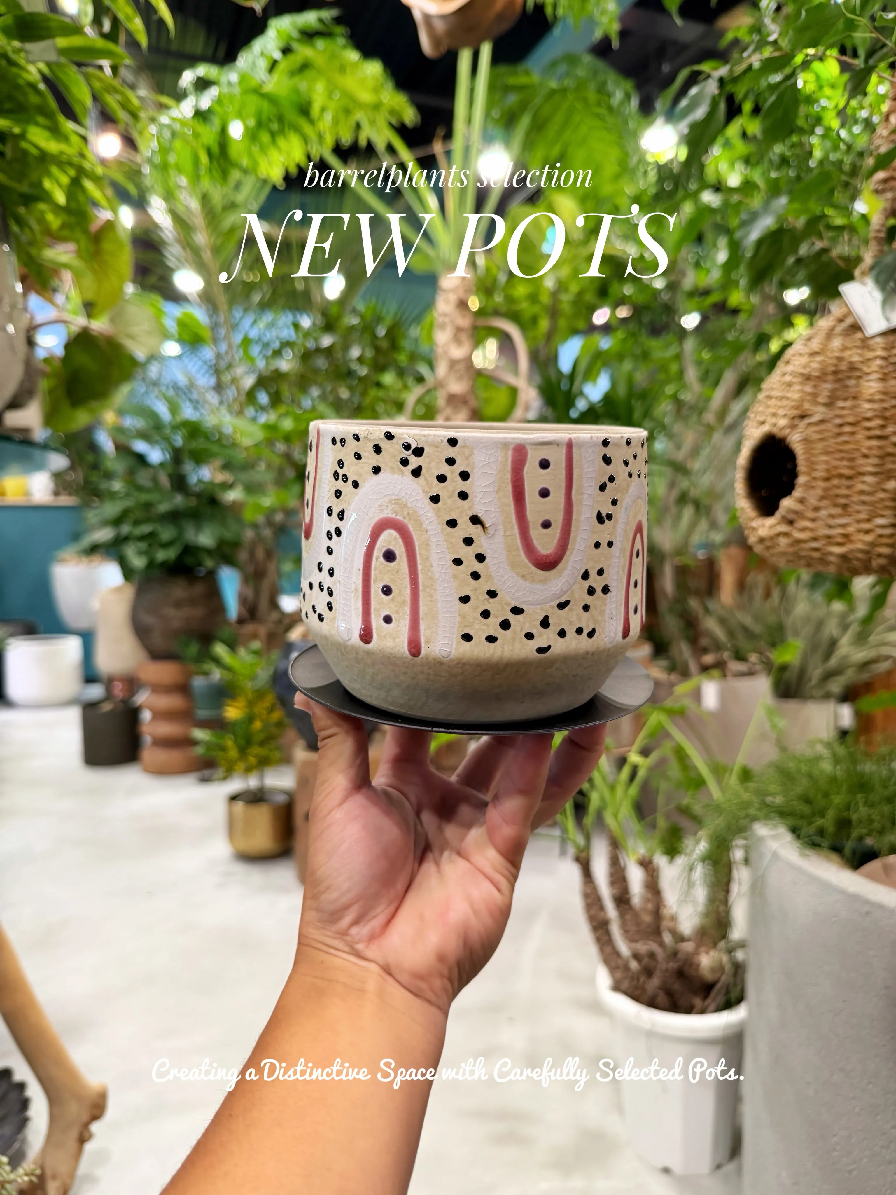 植物を選ぶように、鉢を選ぶ。