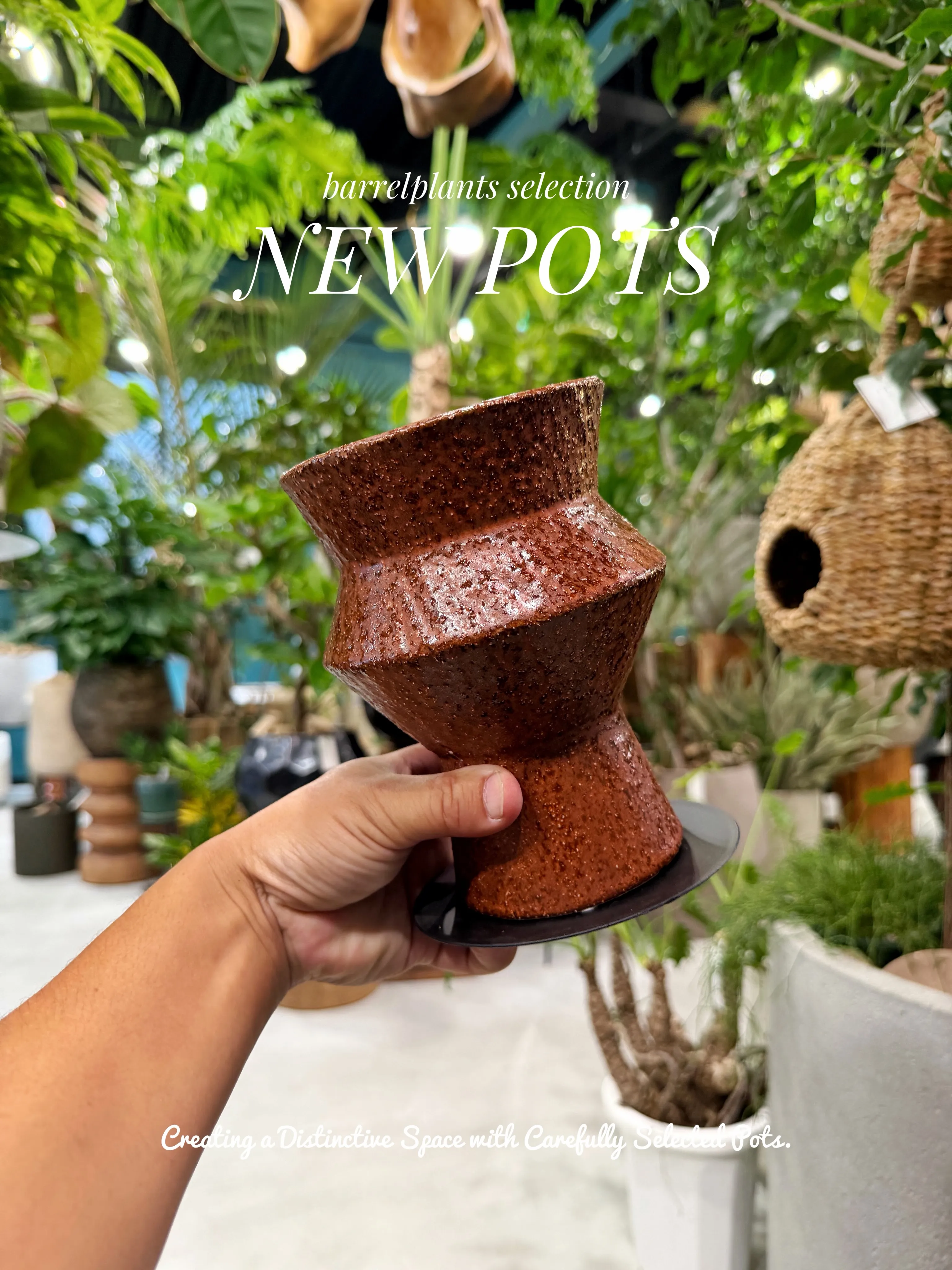 植物を選ぶように、鉢を選ぶ。