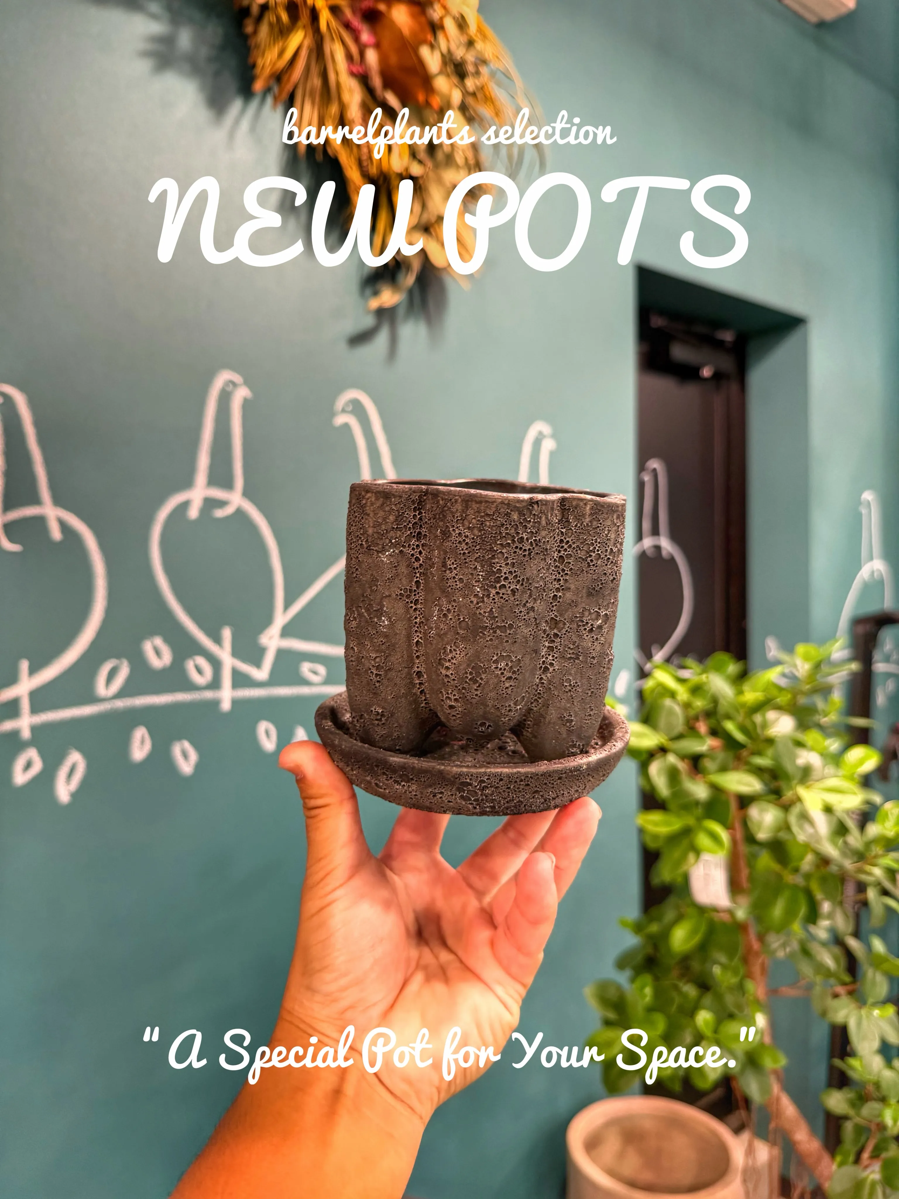 鉢を選ぶ時間も、植物を楽しむ時間。