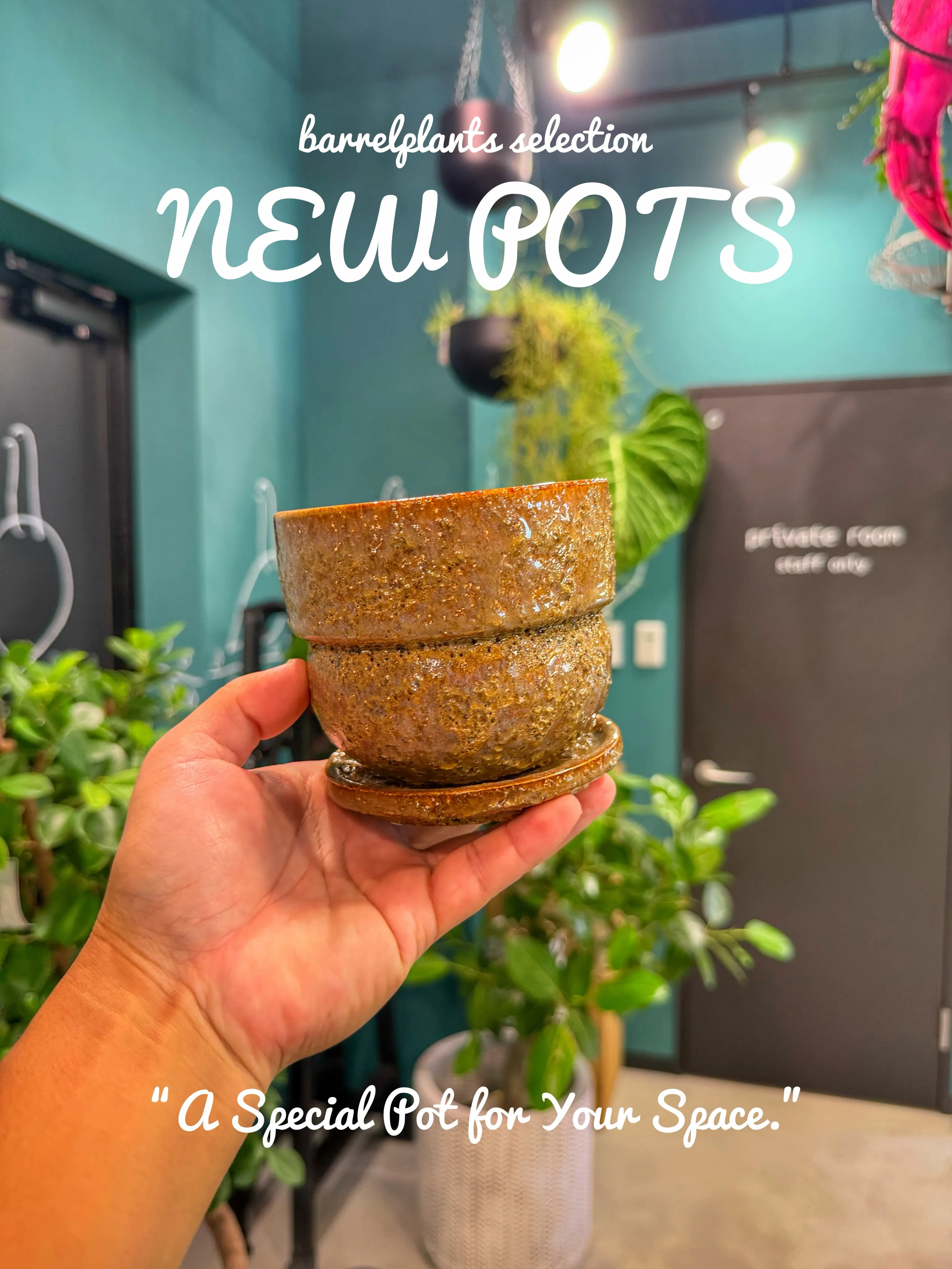 鉢を選ぶ時間も、植物を楽しむ時間。