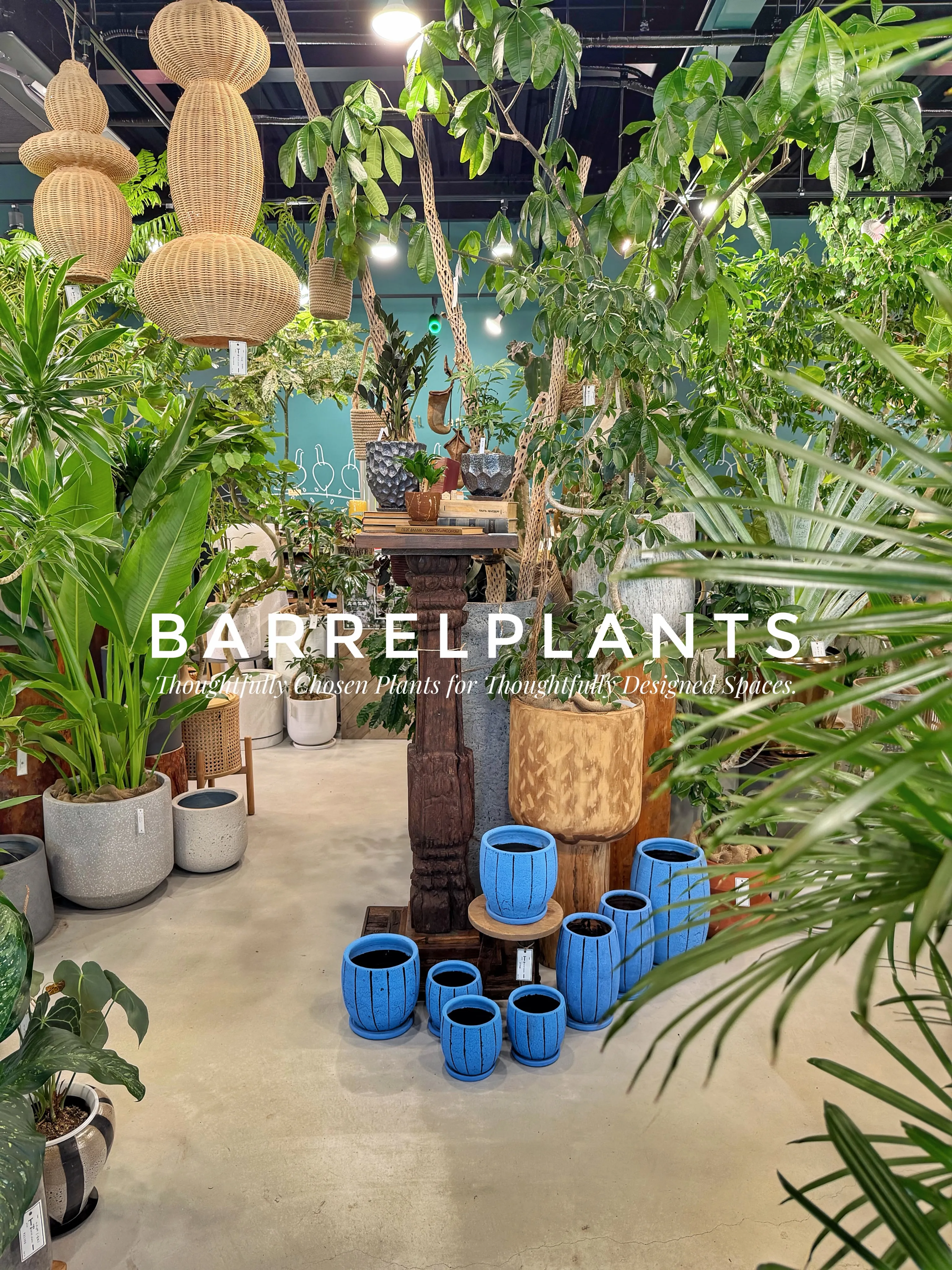 植物屋なのに、帰りたくなくなる。