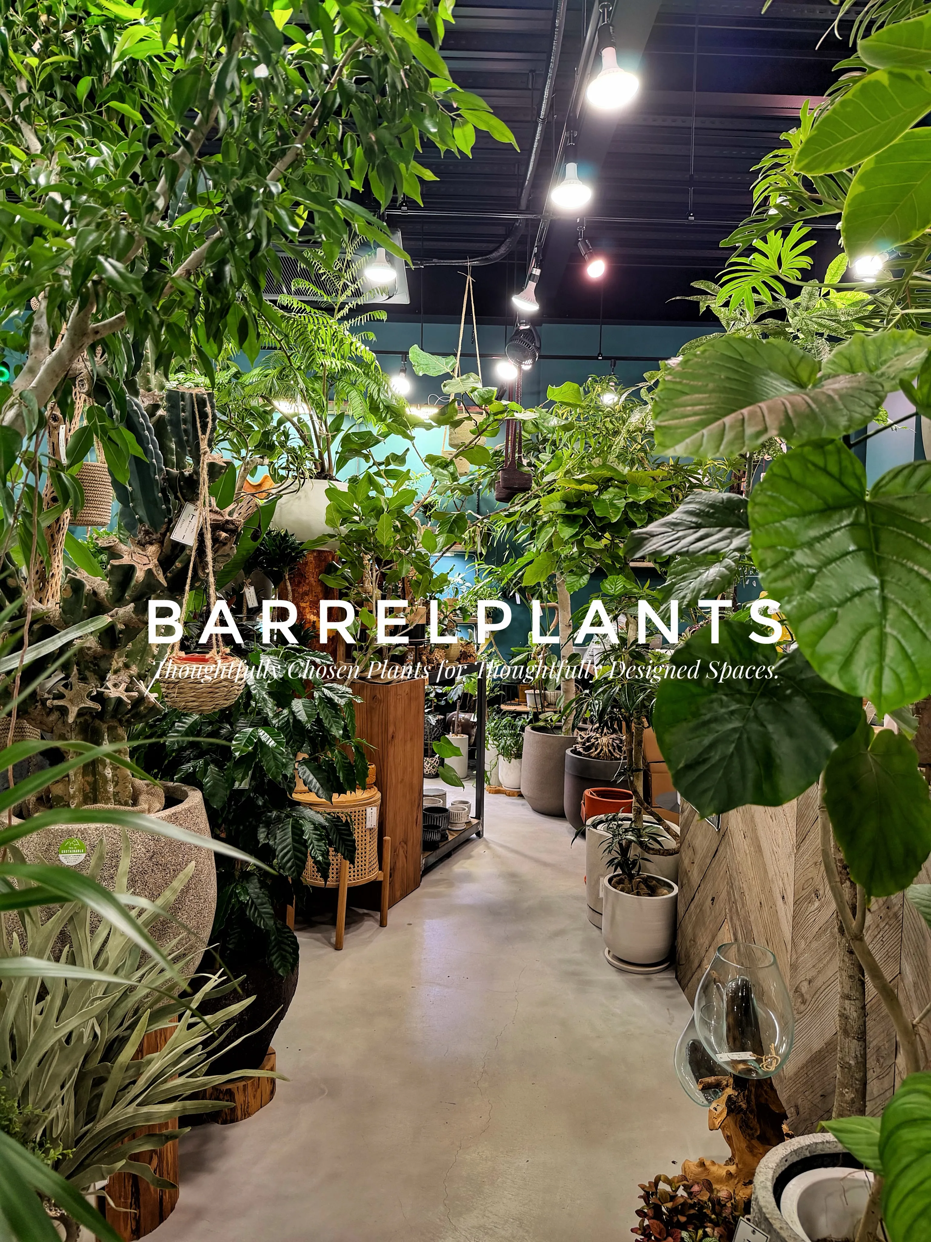 植物屋なのに、帰りたくなくなる。
