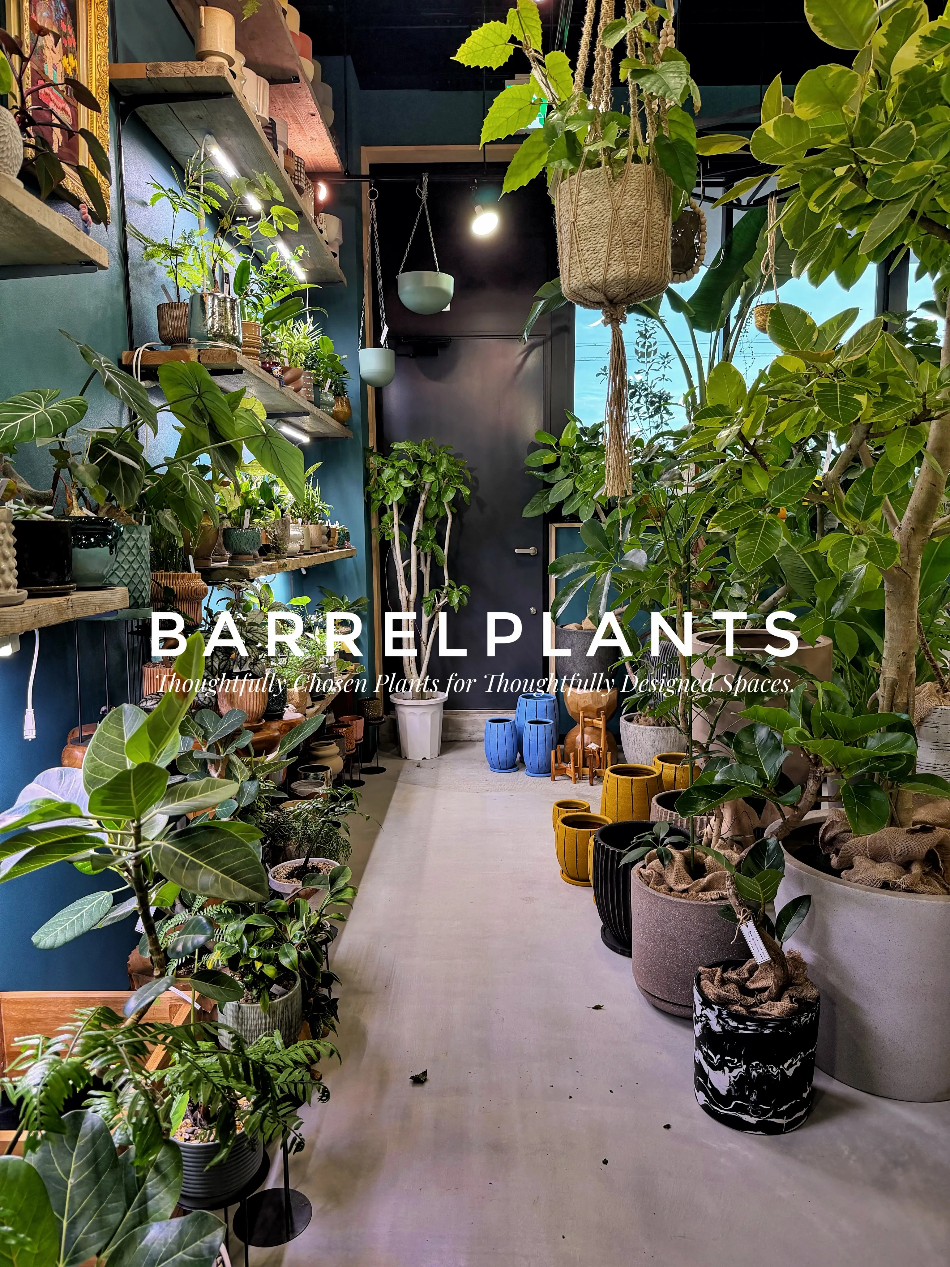 植物屋なのに、帰りたくなくなる。