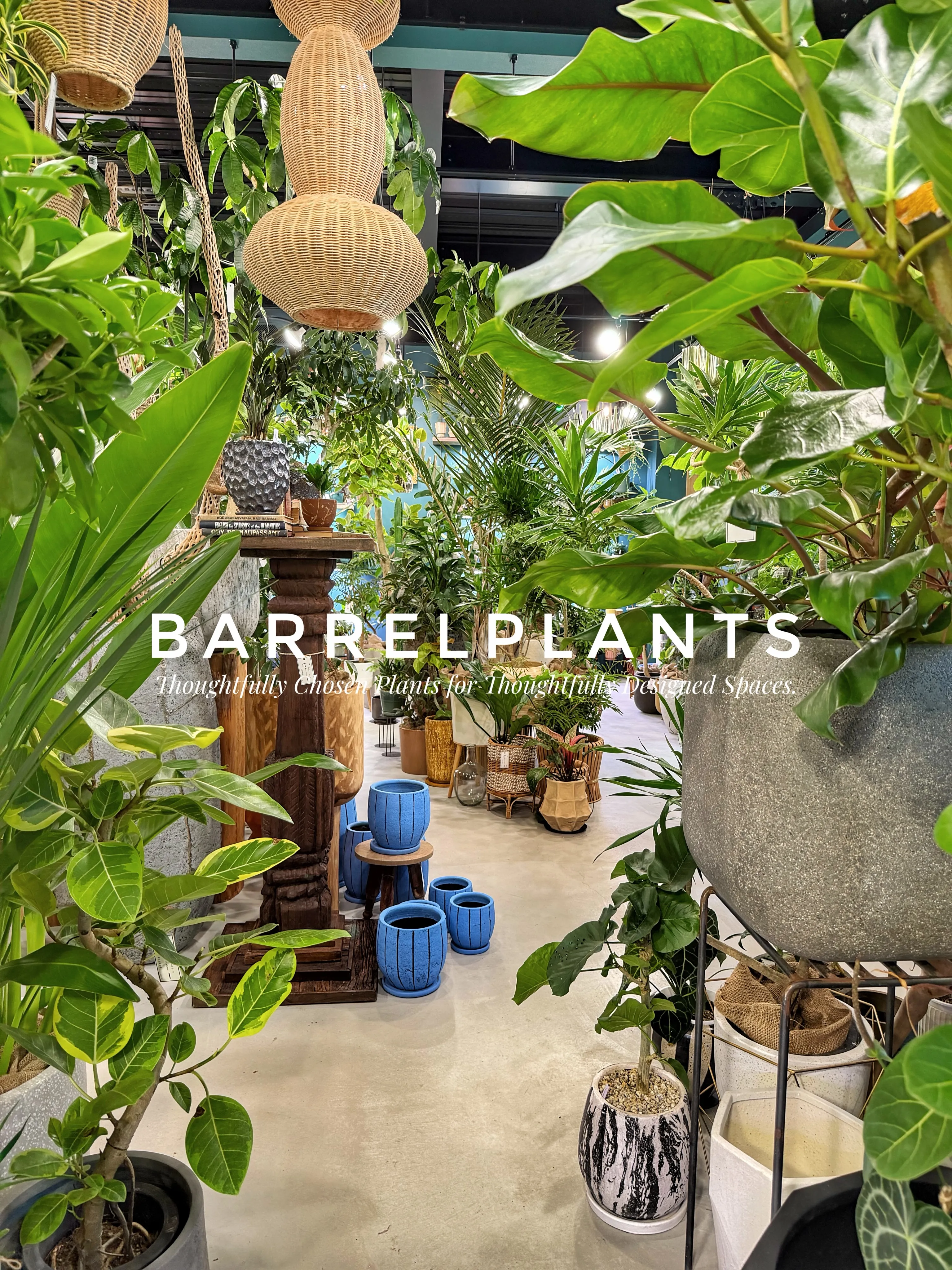 植物屋なのに、帰りたくなくなる。