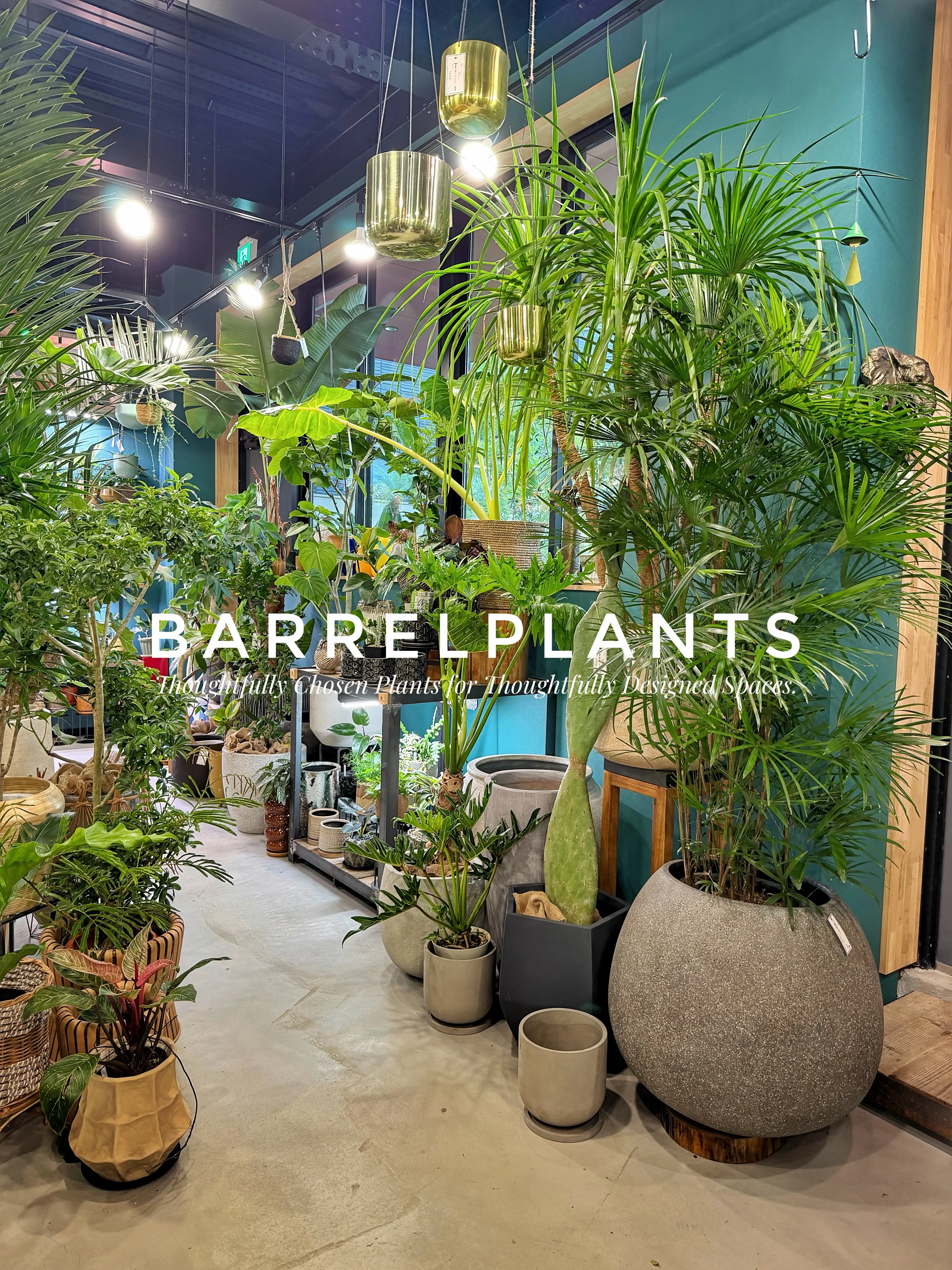 植物屋なのに、帰りたくなくなる。