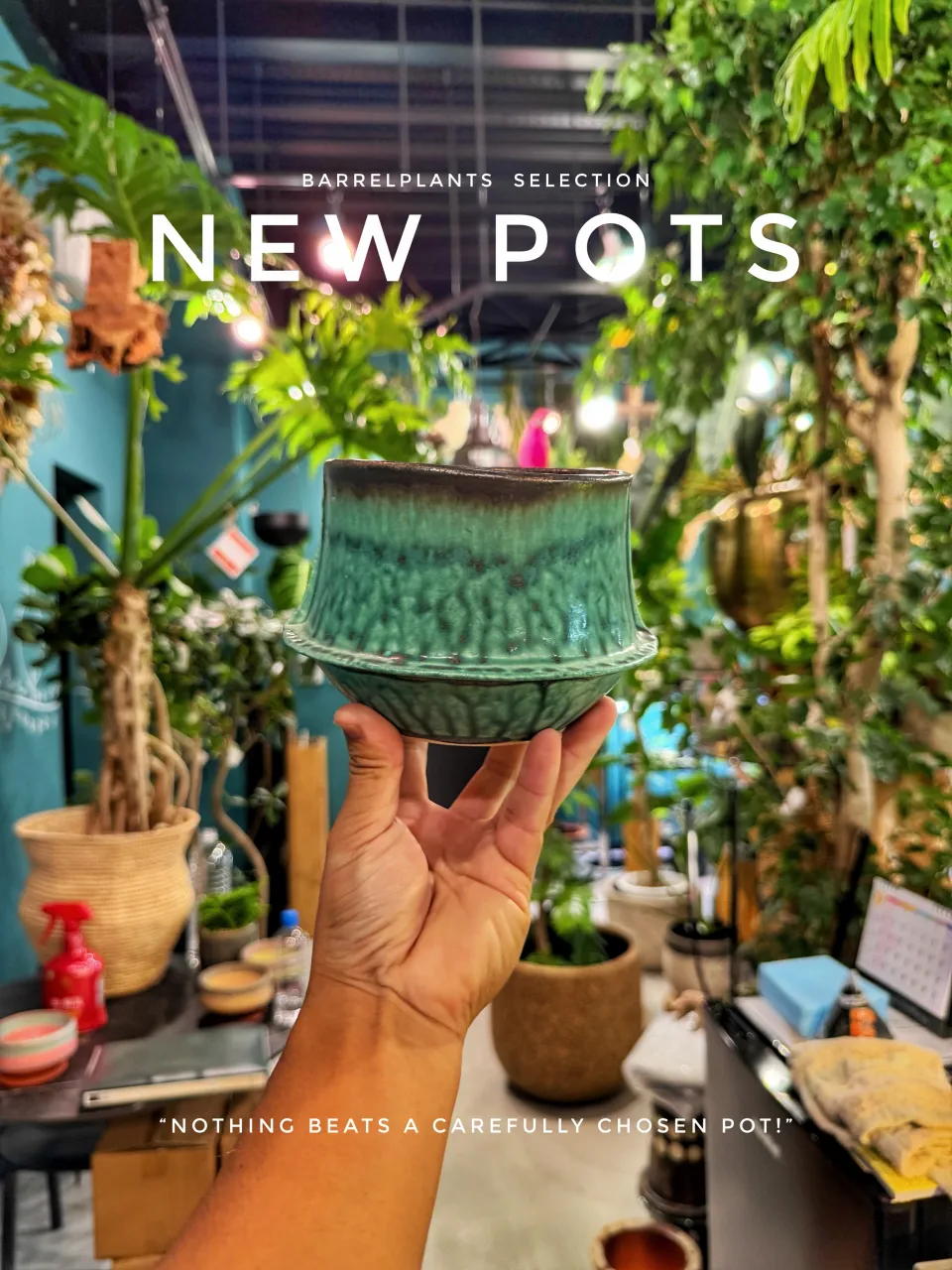 「鉢を選ぶ」から、植物はもっと面白くなる。