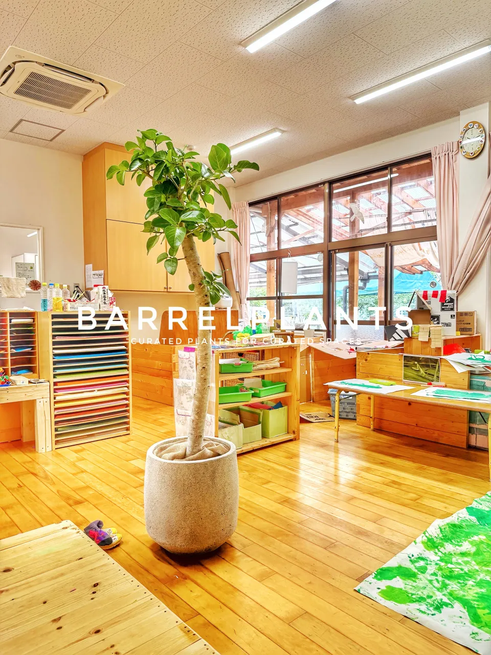 植物を届けた、その先へ。