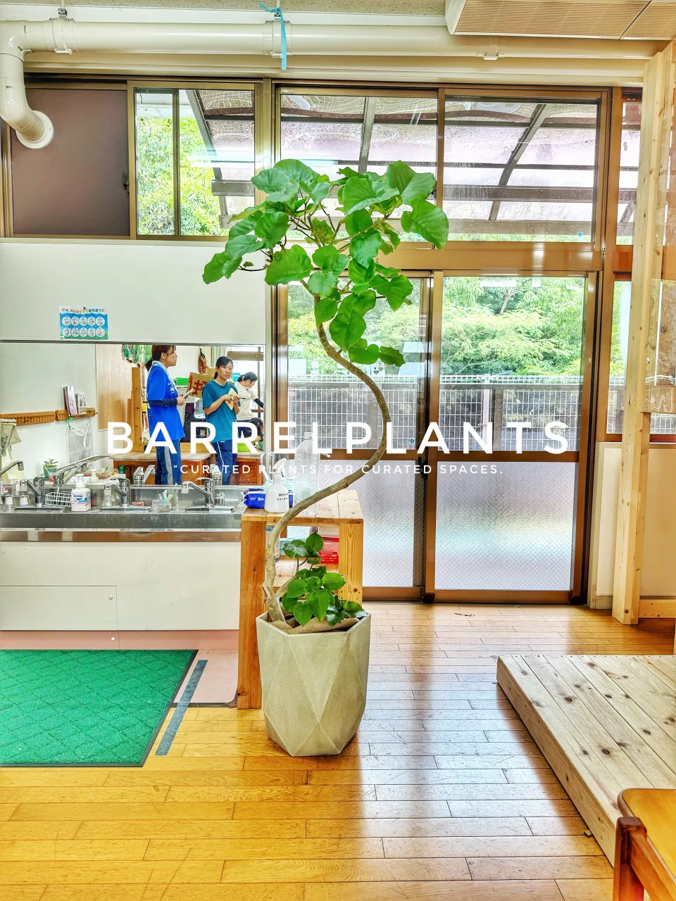 植物を届けた、その先へ。
