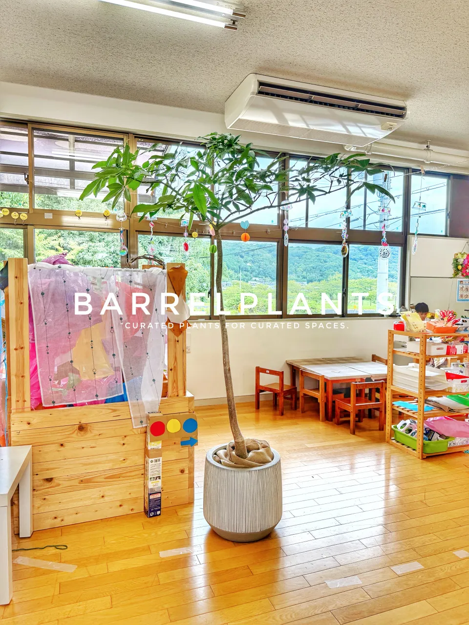 植物を届けた、その先へ。
