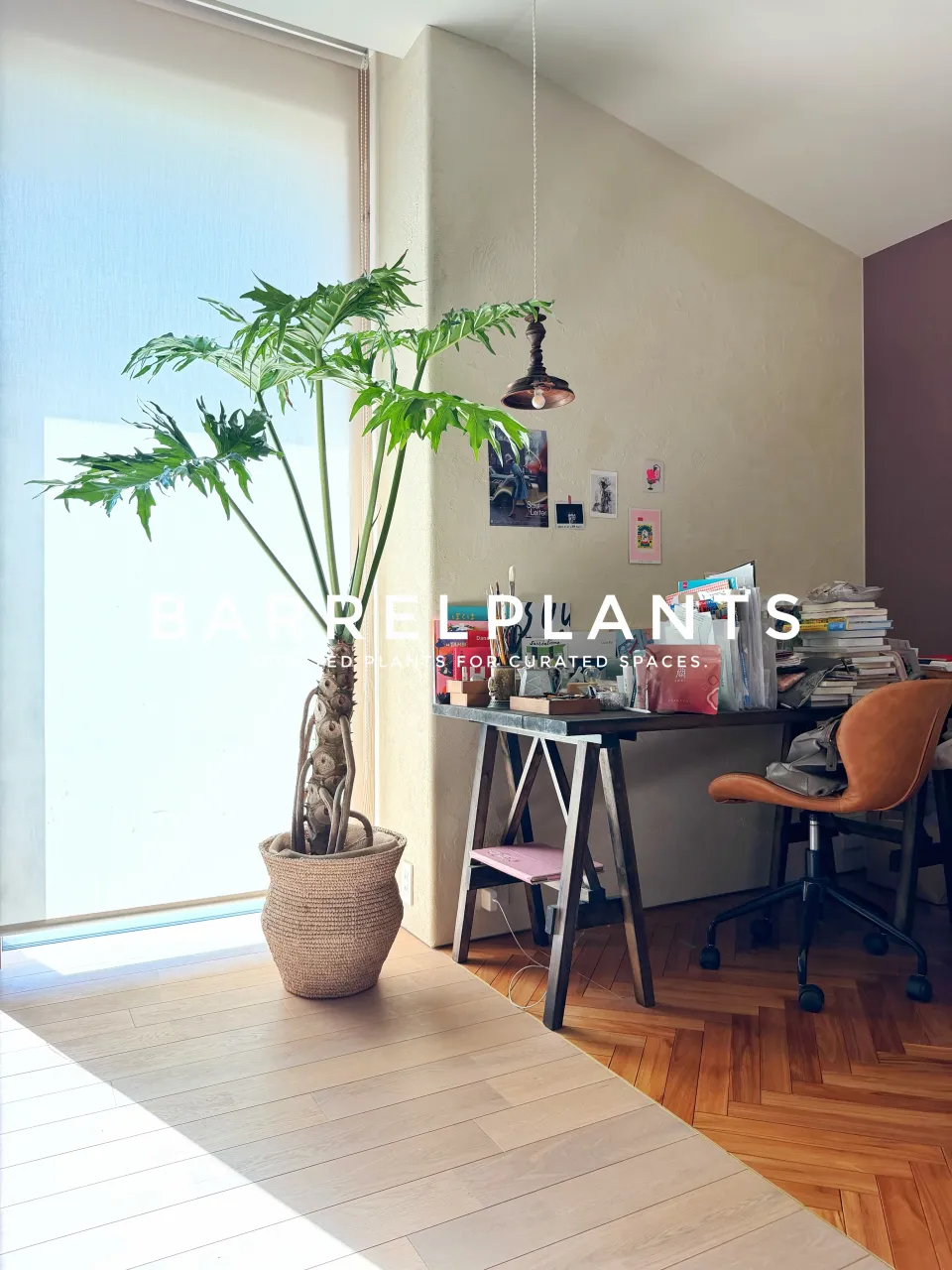 植物を届けた、その先へ。