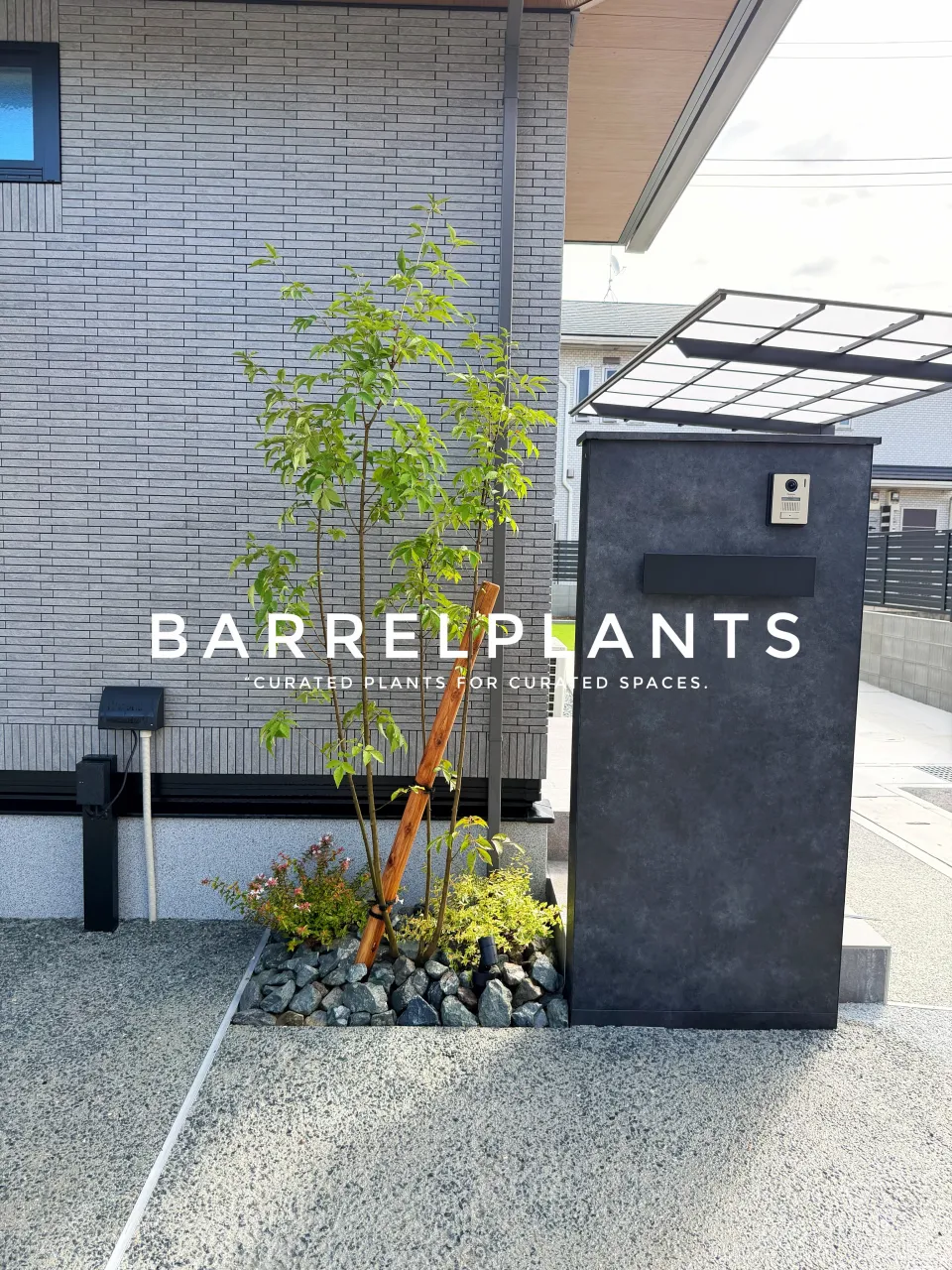 植物を届けた、その先へ。