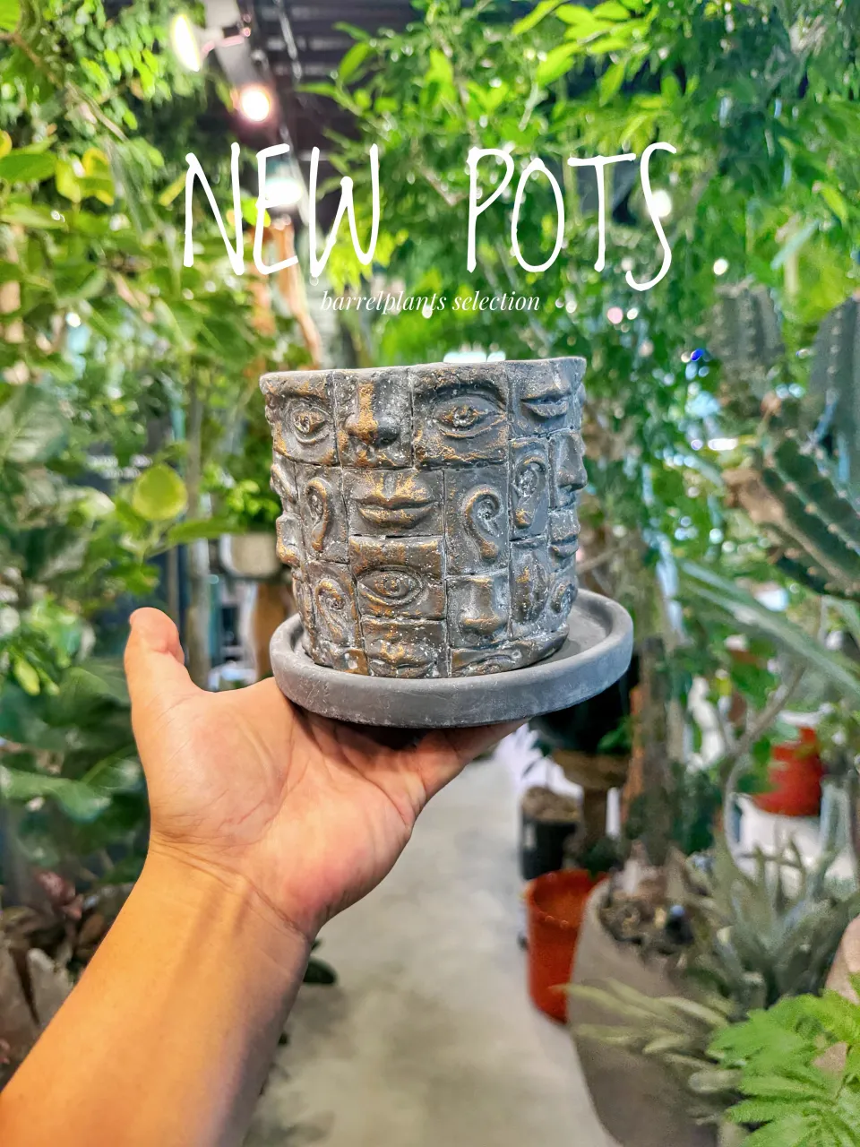 【植物だけじゃ、終わりません。