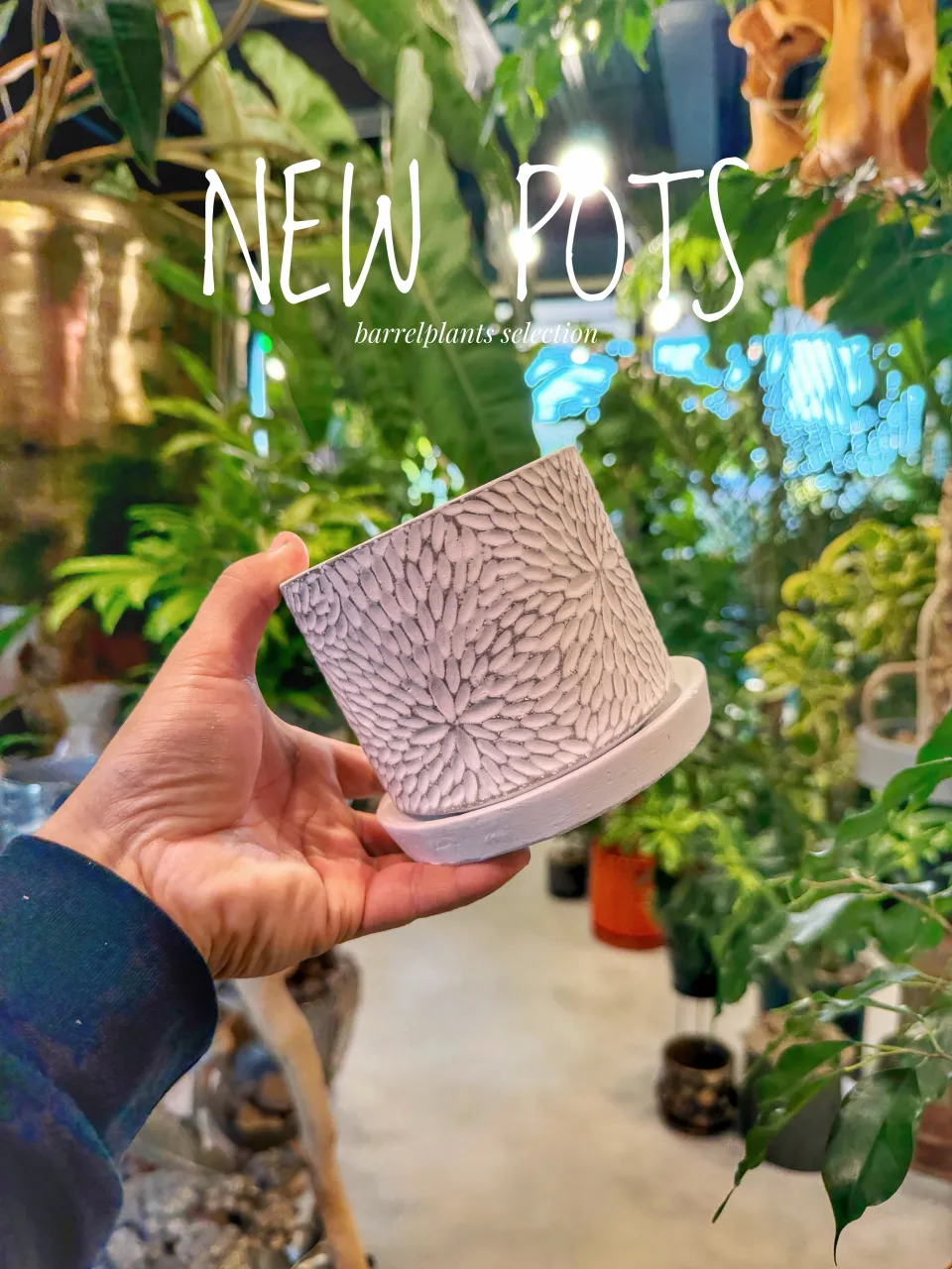 【植物だけじゃ、終わりません。