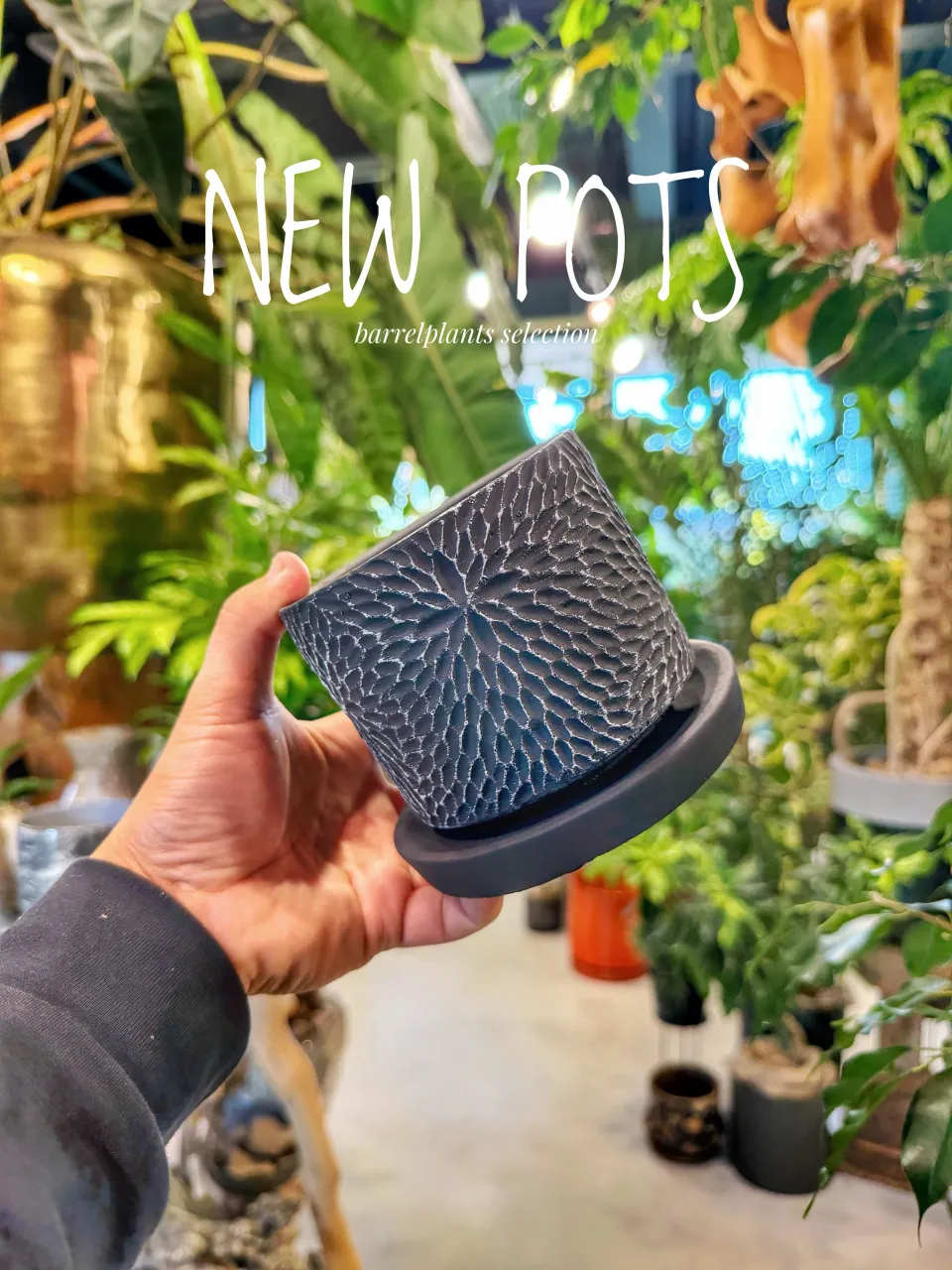 【植物だけじゃ、終わりません。