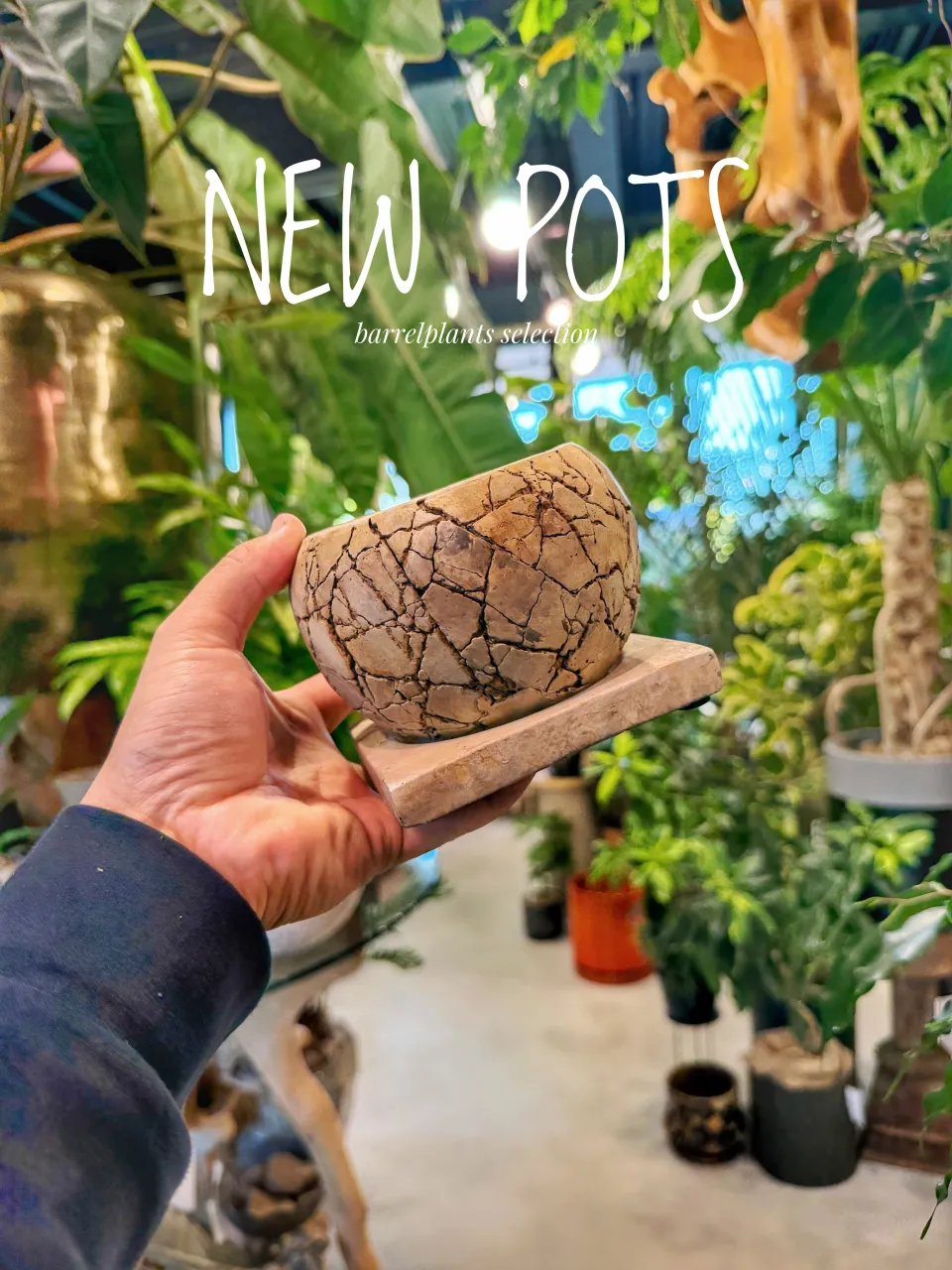 【植物だけじゃ、終わりません。
