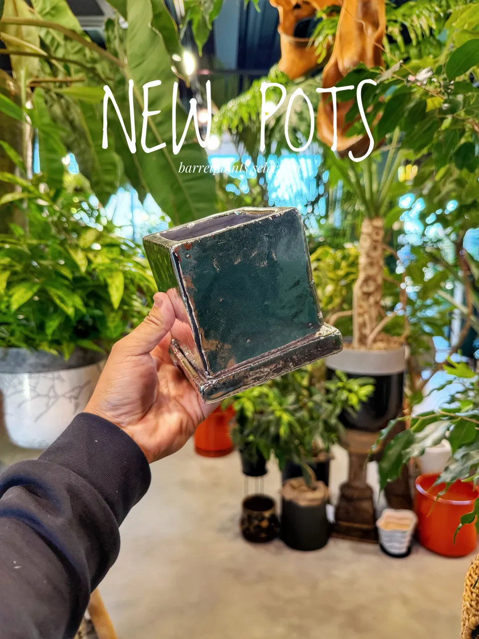【植物だけじゃ、終わりません。