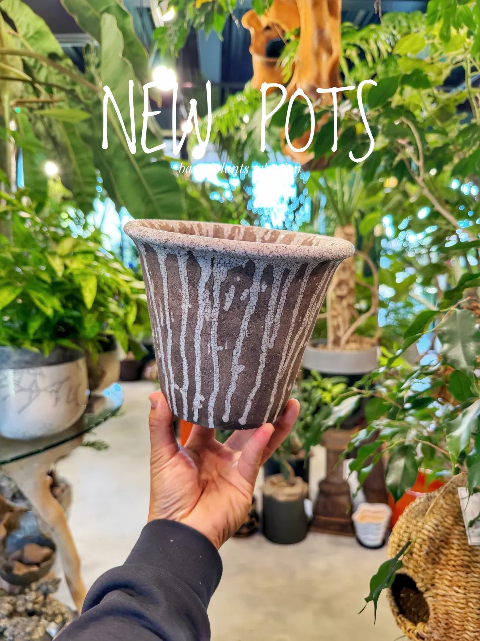 【植物だけじゃ、終わりません。