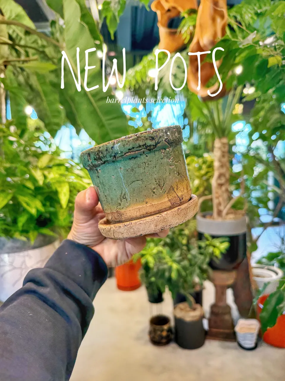 【植物だけじゃ、終わりません。