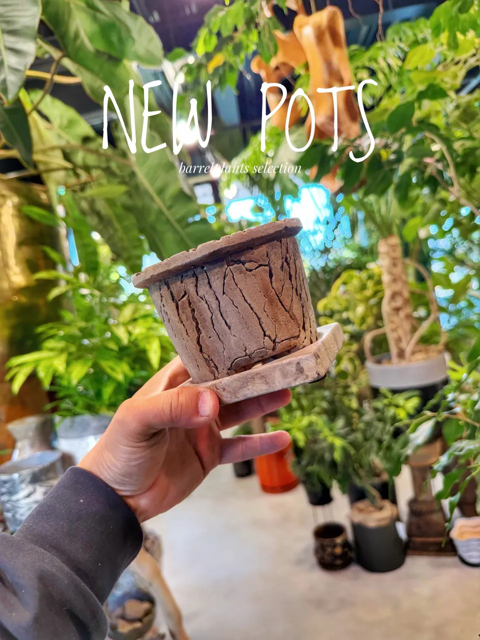 【植物だけじゃ、終わりません。