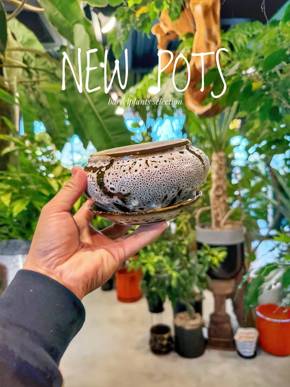 【植物だけじゃ、終わりません。