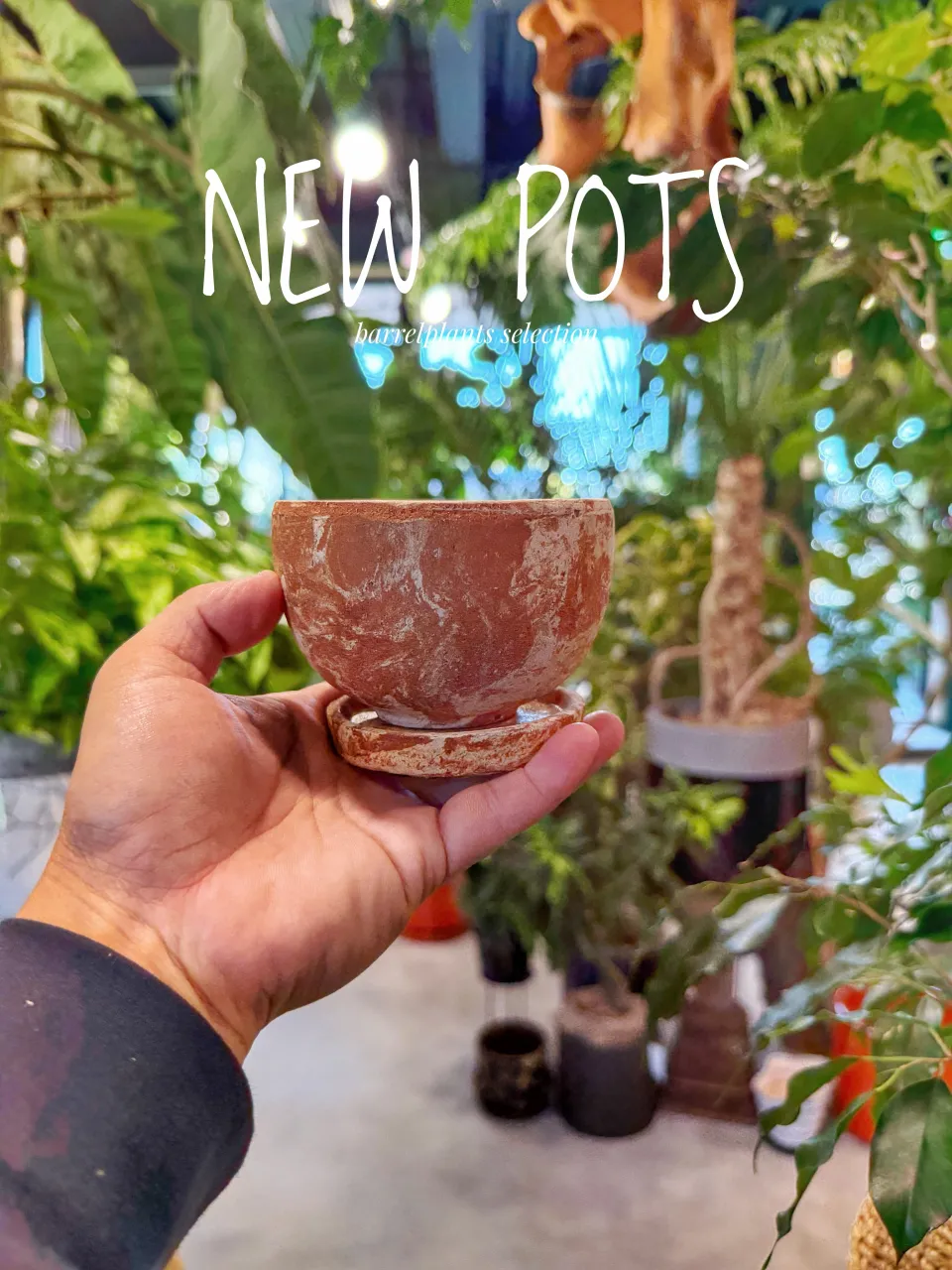 【植物だけじゃ、終わりません。