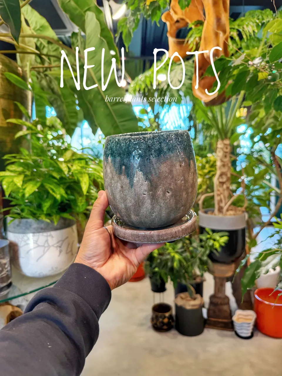 【植物だけじゃ、終わりません。