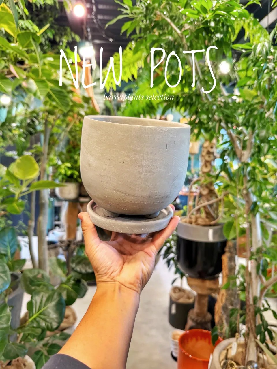 【植物だけじゃ、終わりません。