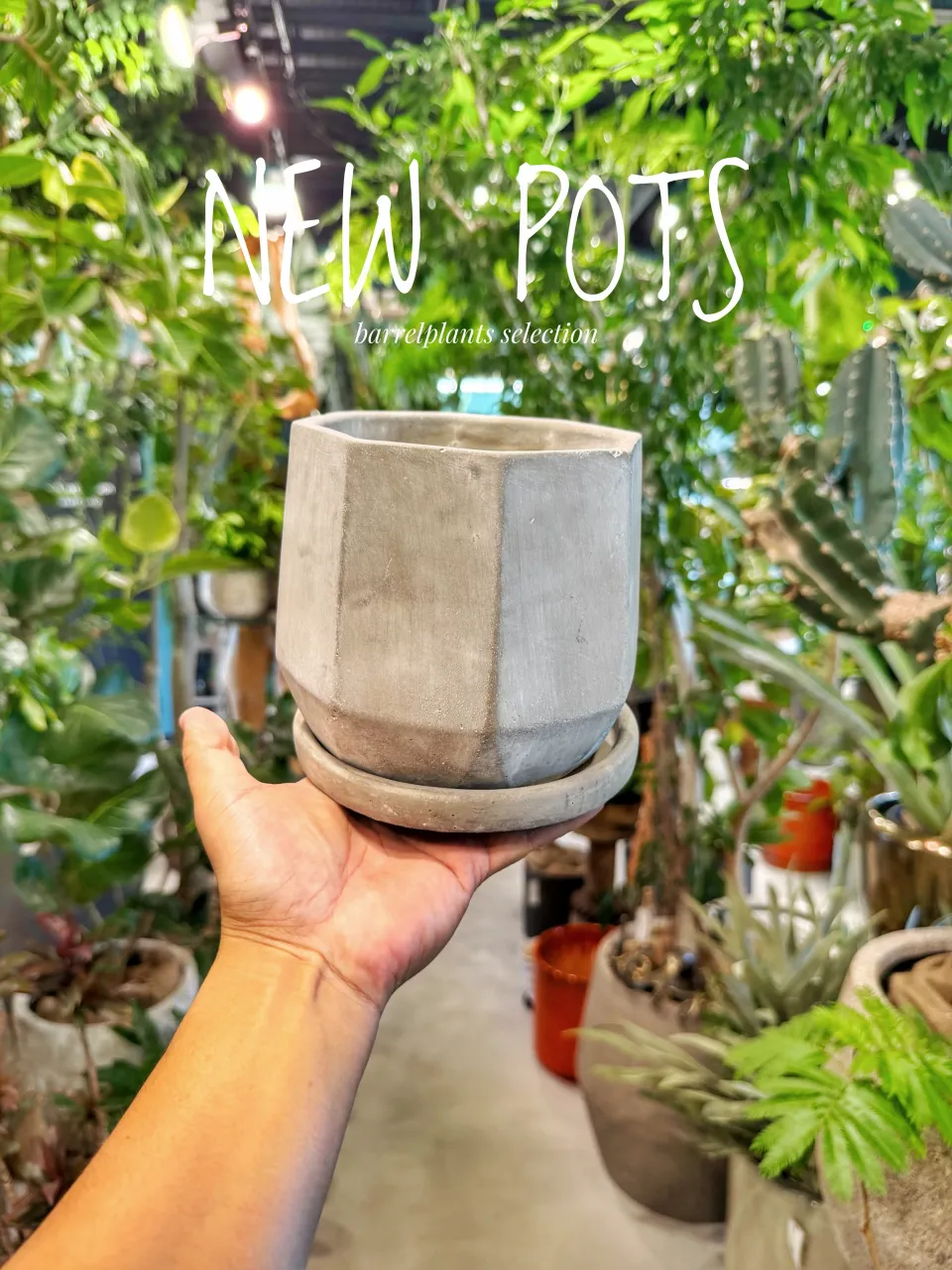 【植物だけじゃ、終わりません。