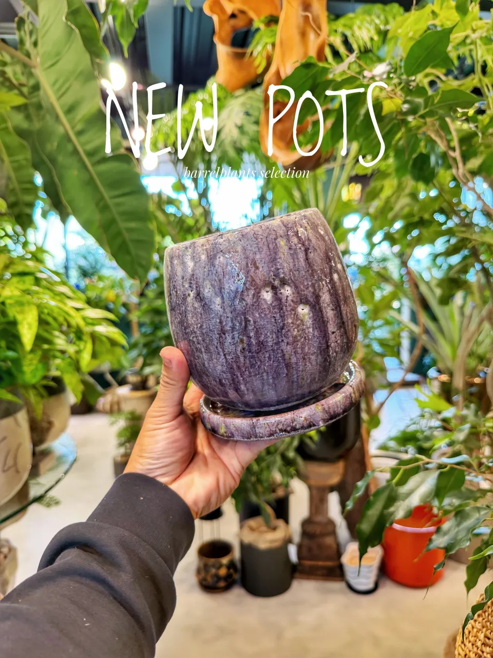 【植物だけじゃ、終わりません。