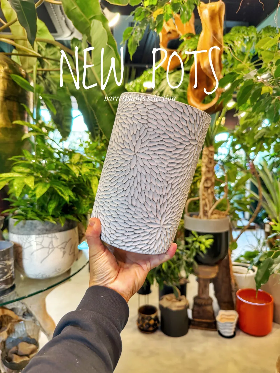 【植物だけじゃ、終わりません。