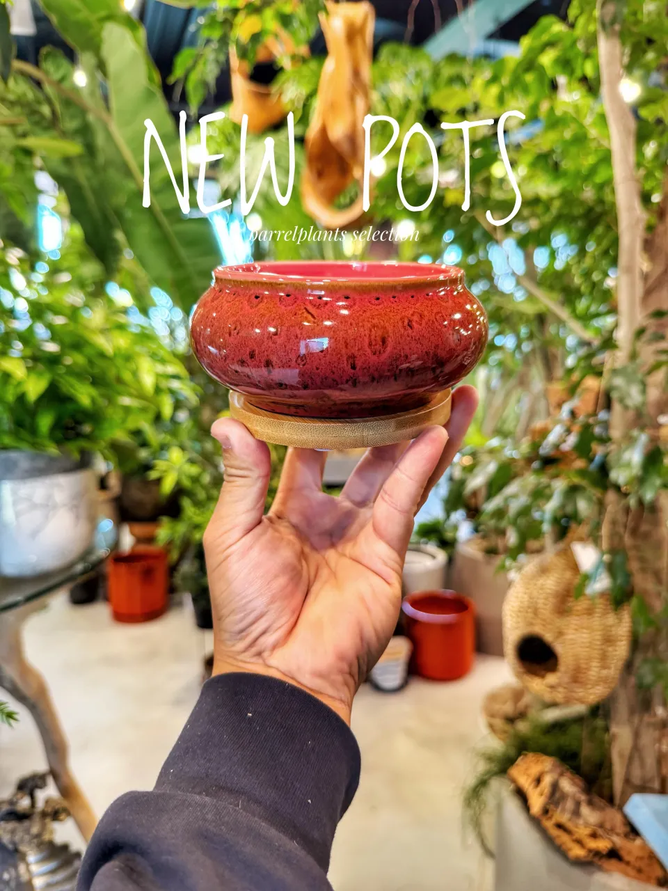 【植物だけじゃ、終わりません。