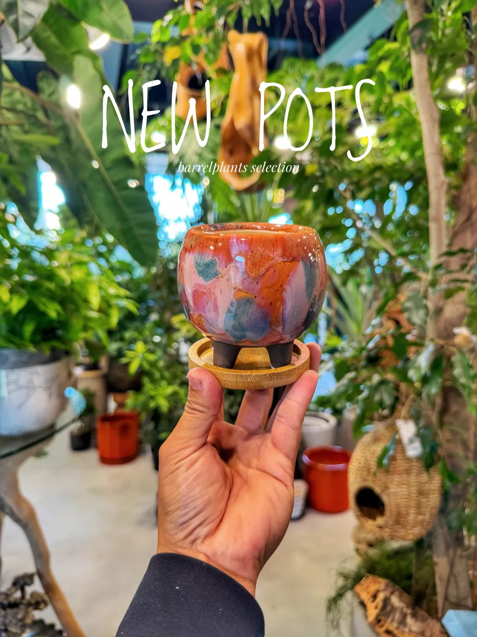 【植物だけじゃ、終わりません。