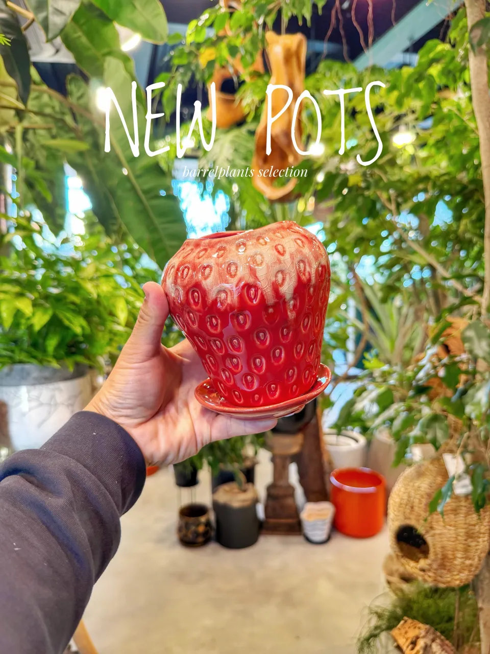 【植物だけじゃ、終わりません。