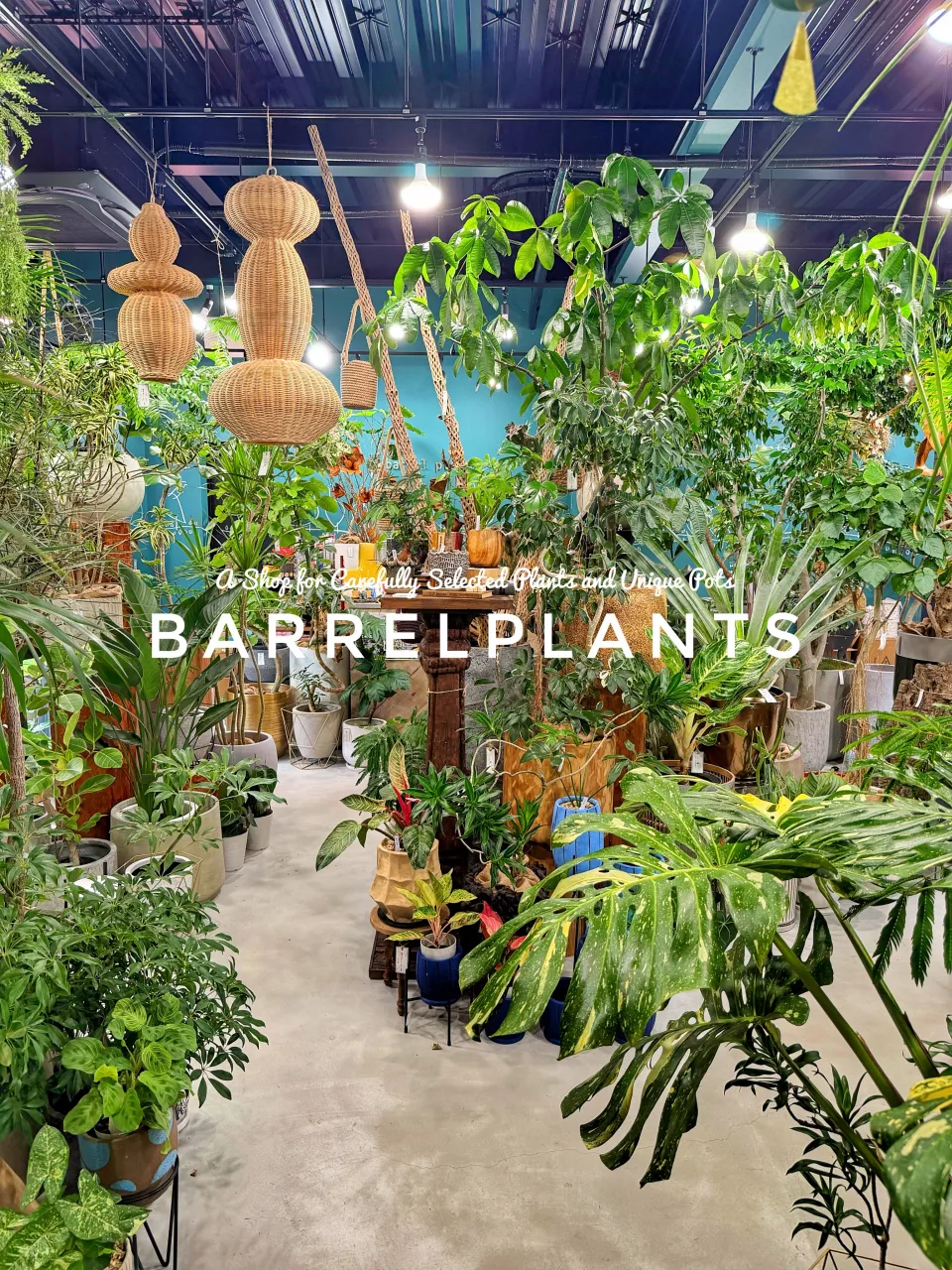 植物に囲まれる、ちょっと特別な空間。