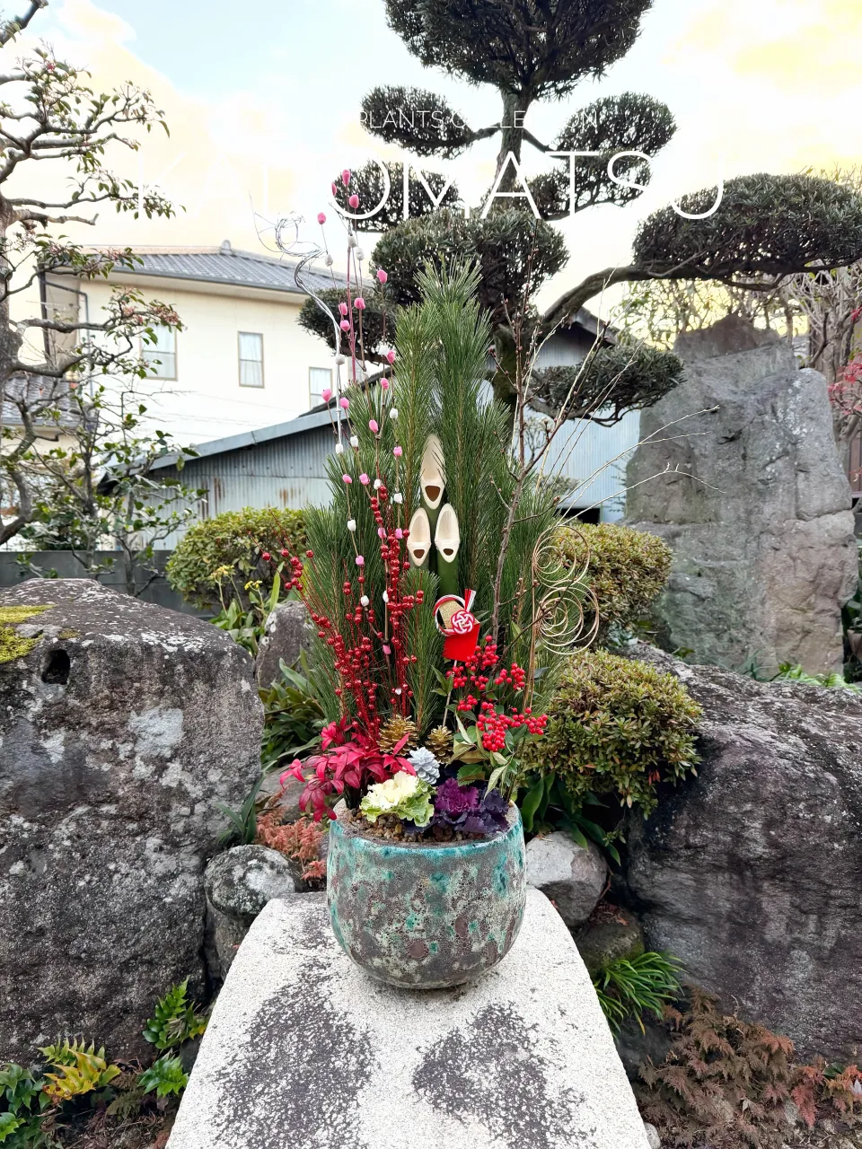 新年を迎える、その一鉢にこだわりを。