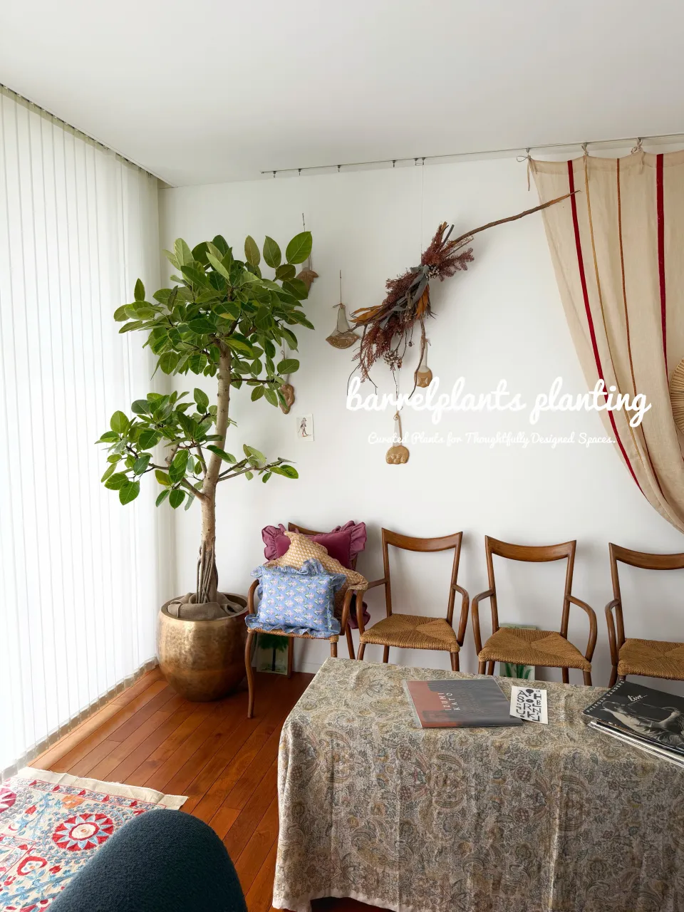 植物ひとつで、空間はここまで変わる。