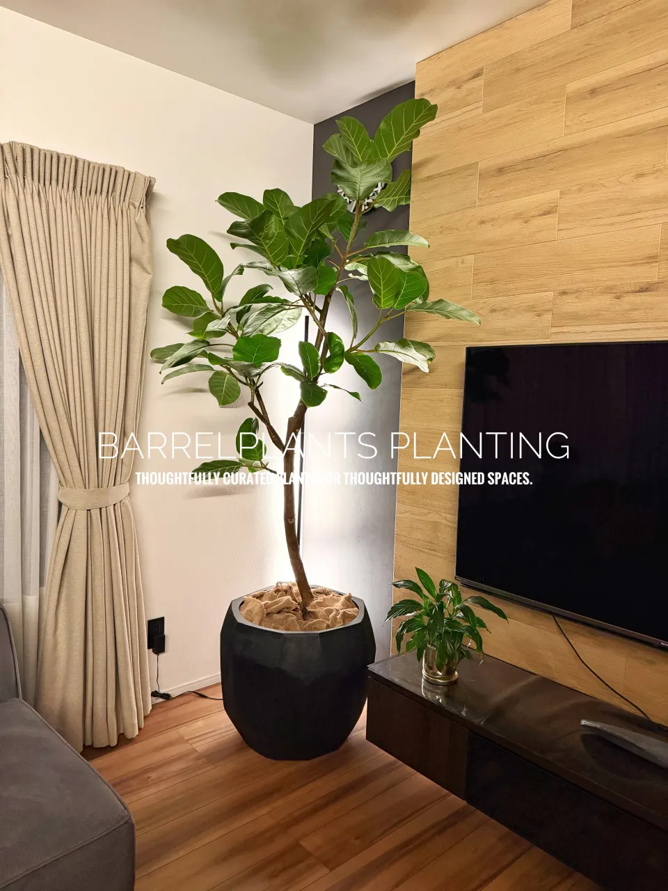 植物ひとつで、空間はここまで変わる。