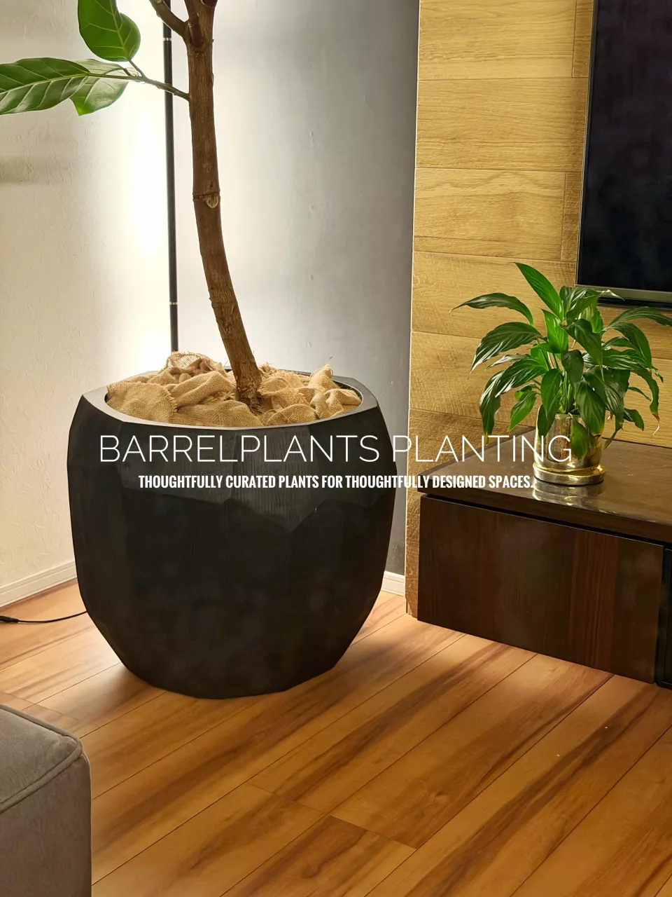 植物ひとつで、空間はここまで変わる。