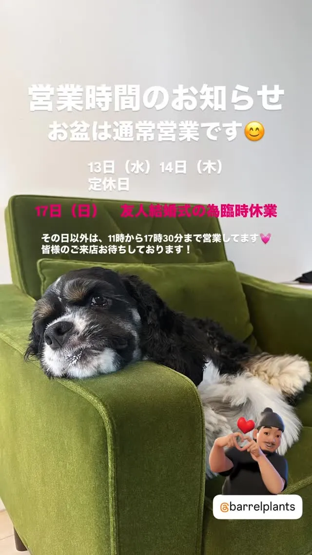 お盆は通常営業です😊