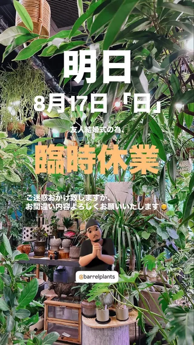 皆様こんばんわ😊