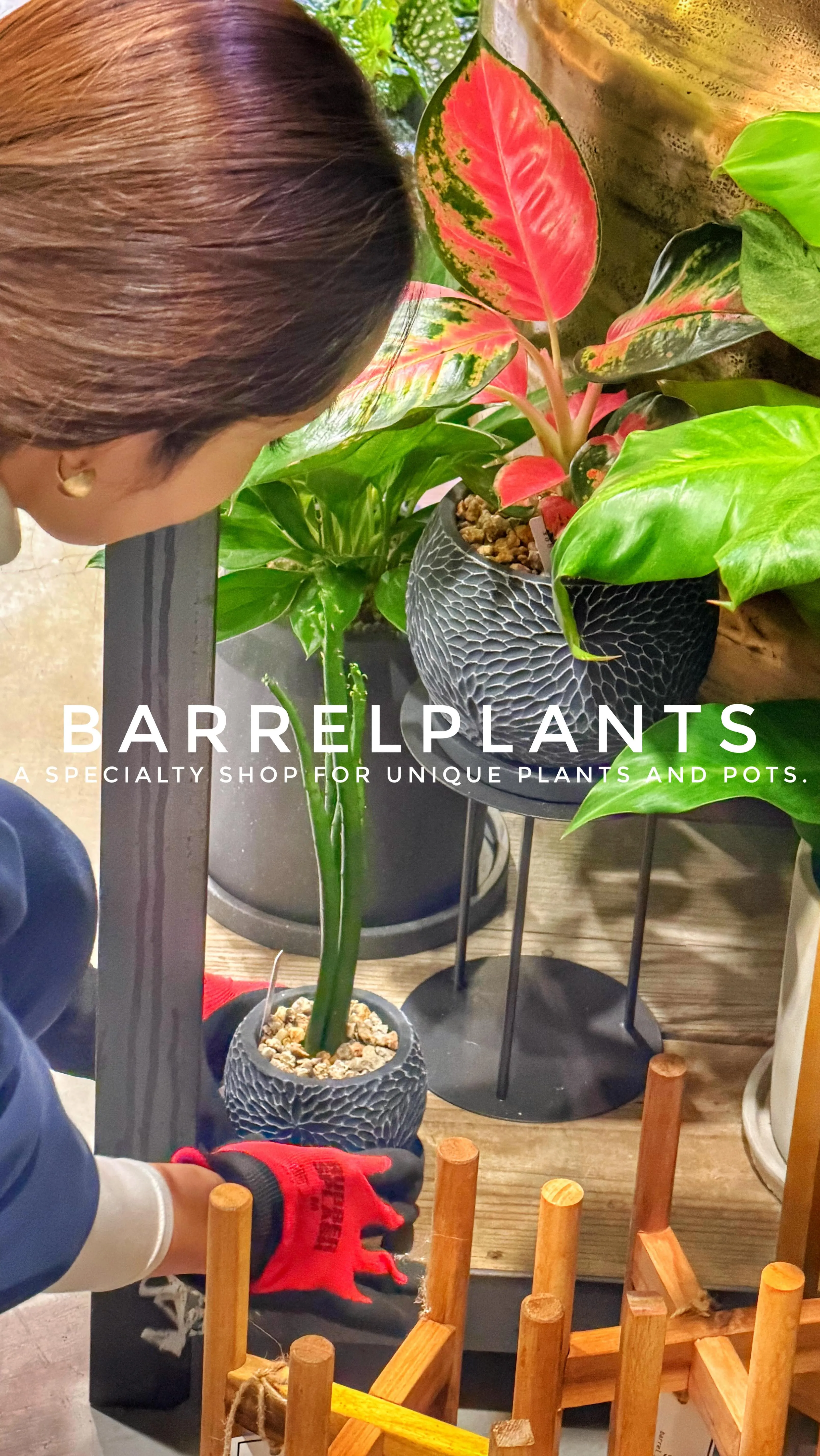 【植物専門店barrelplantsのお店大移動のすすめ】