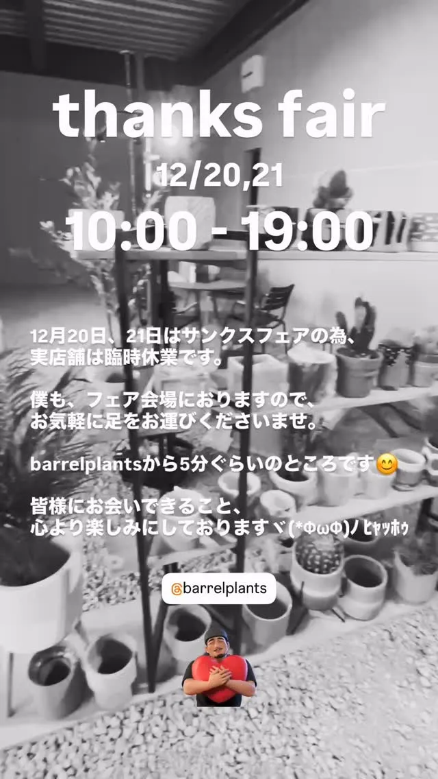 「Thanks Fair開催！大量入荷のアウトレット鉢＆デッ...