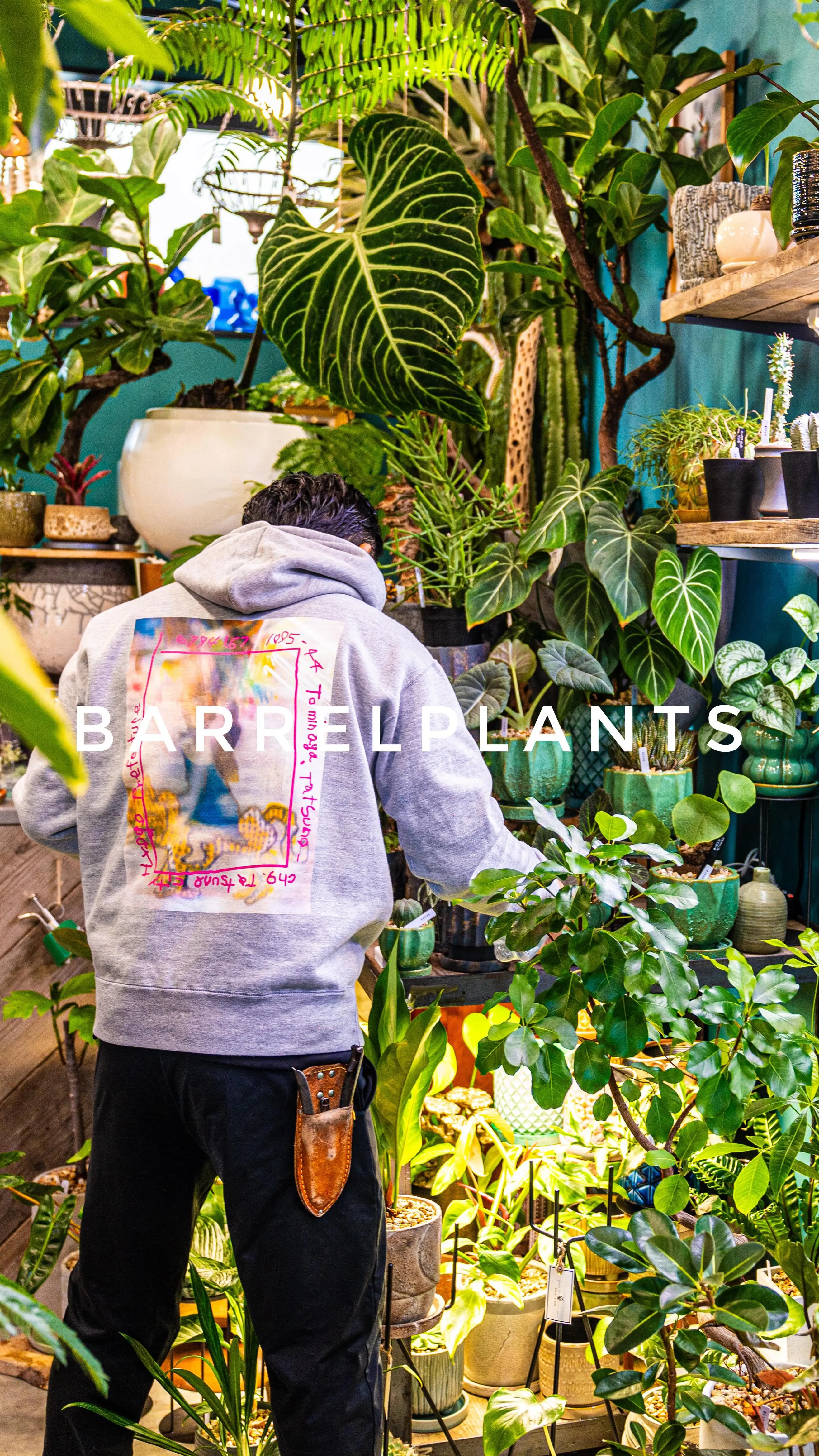 【barrelplants/バーレルプランツ、振り返れば全て...