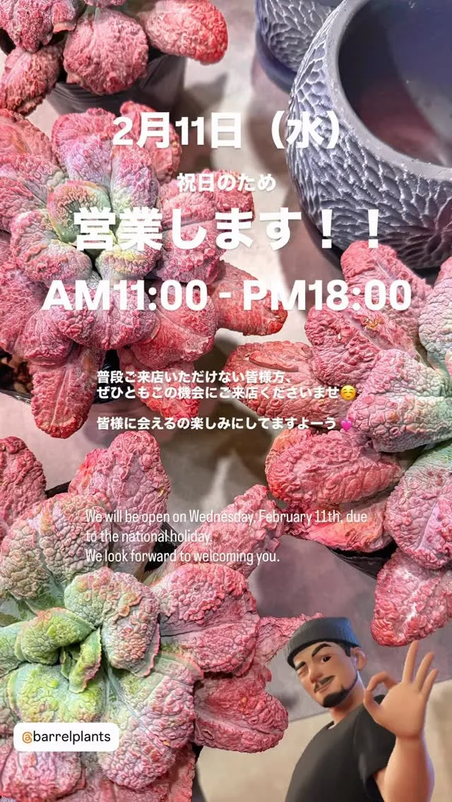 barrelplants、臨時営業のお知らせ
