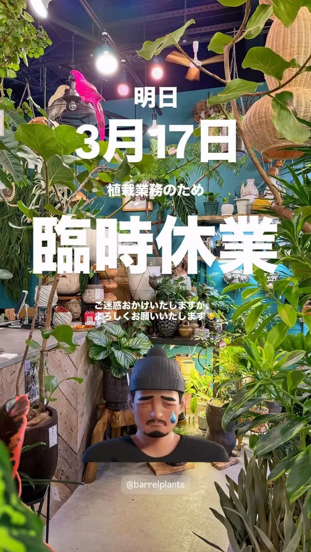 【barrelplantsの臨時休業のお知らせ】