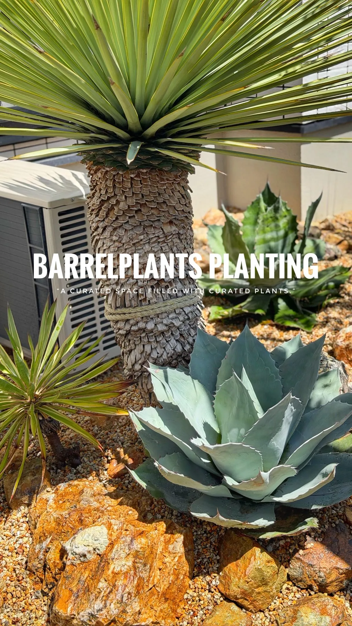 「庭が一瞬で別世界に。